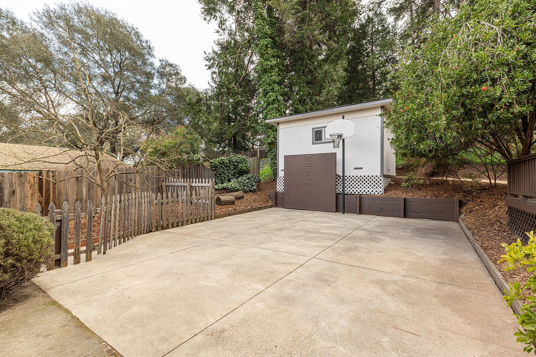 Empty backyard with a concrete patio, a small basketball hoop, and a white shed with black trim surrounded by trees and a wooden fence.