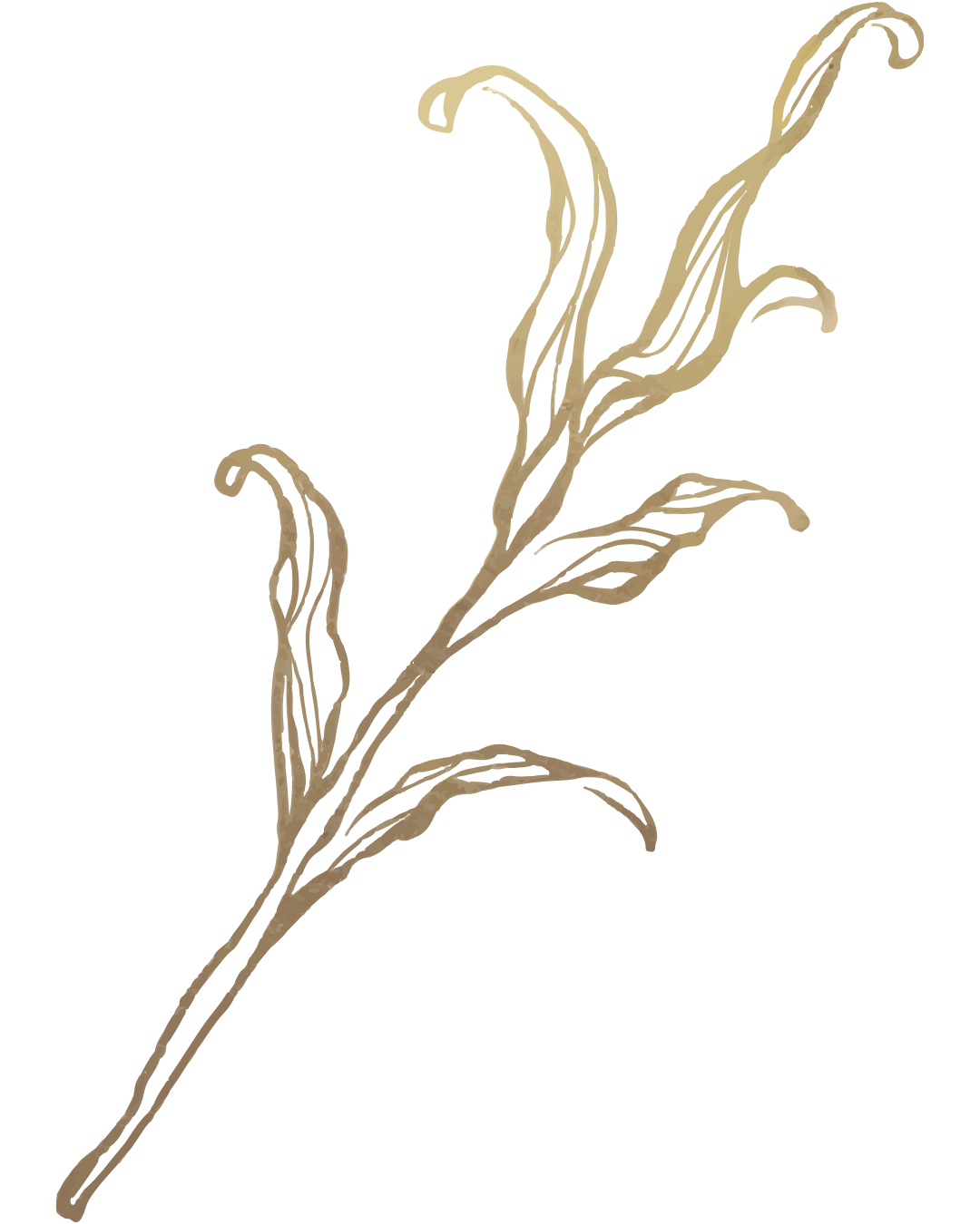 Stylized beige botanical illustration of a branch with elongated leaves colored gold.