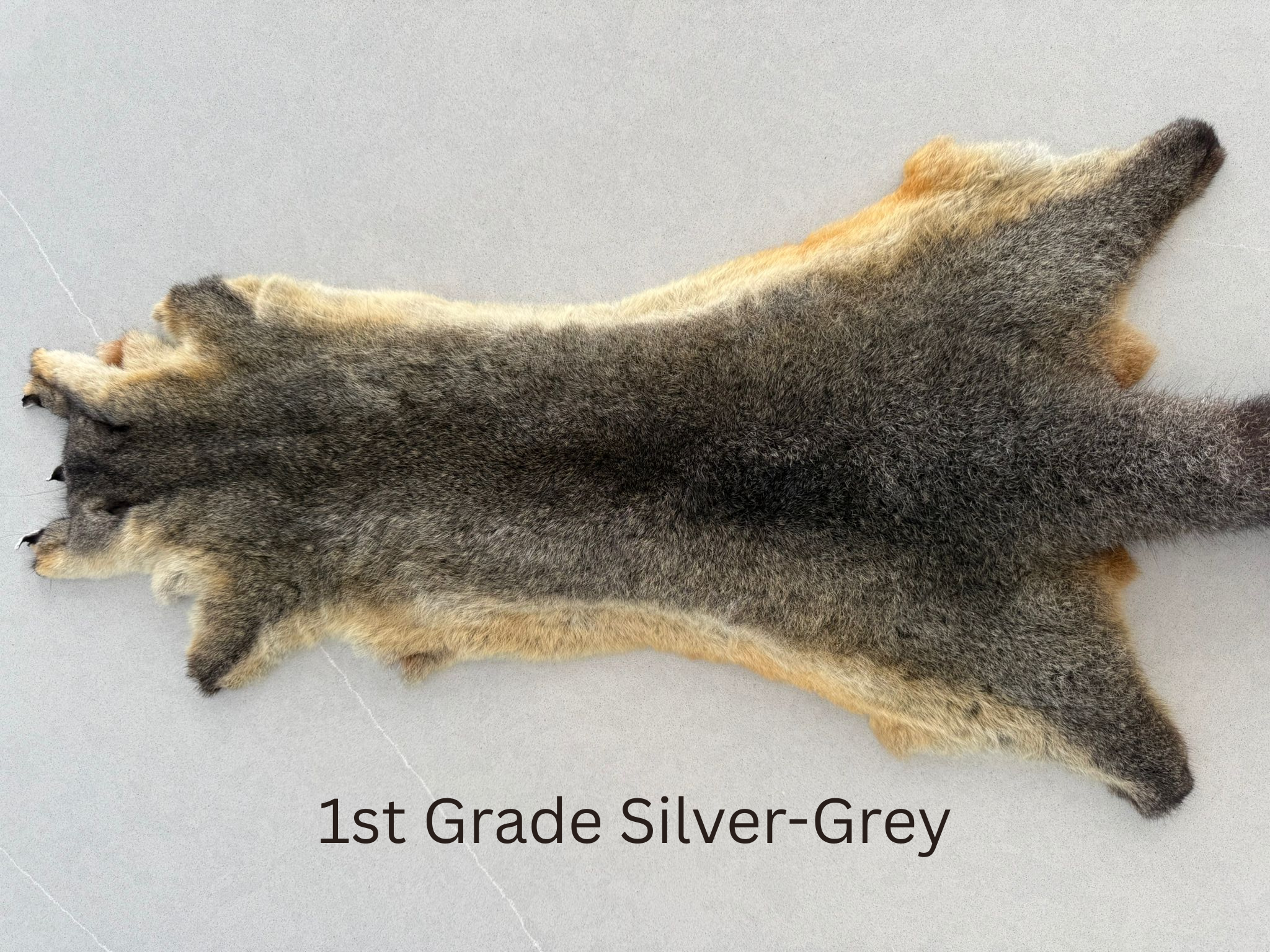 1st Grade Silver Grey Possum Skin Horizontal Image.png