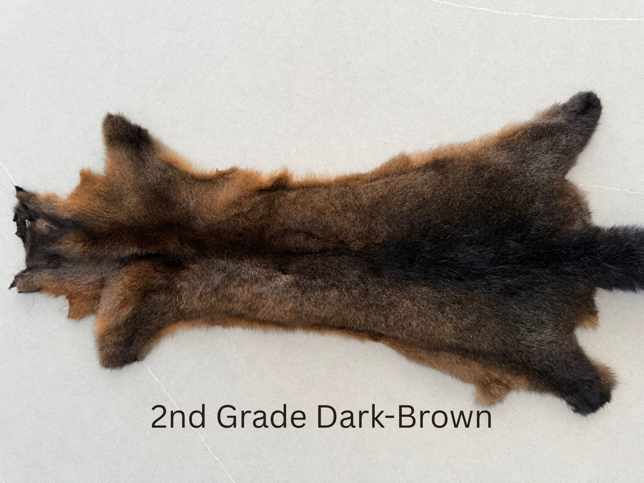 2nd Grade Dark Brown Possum Skin Horizontal Image.png