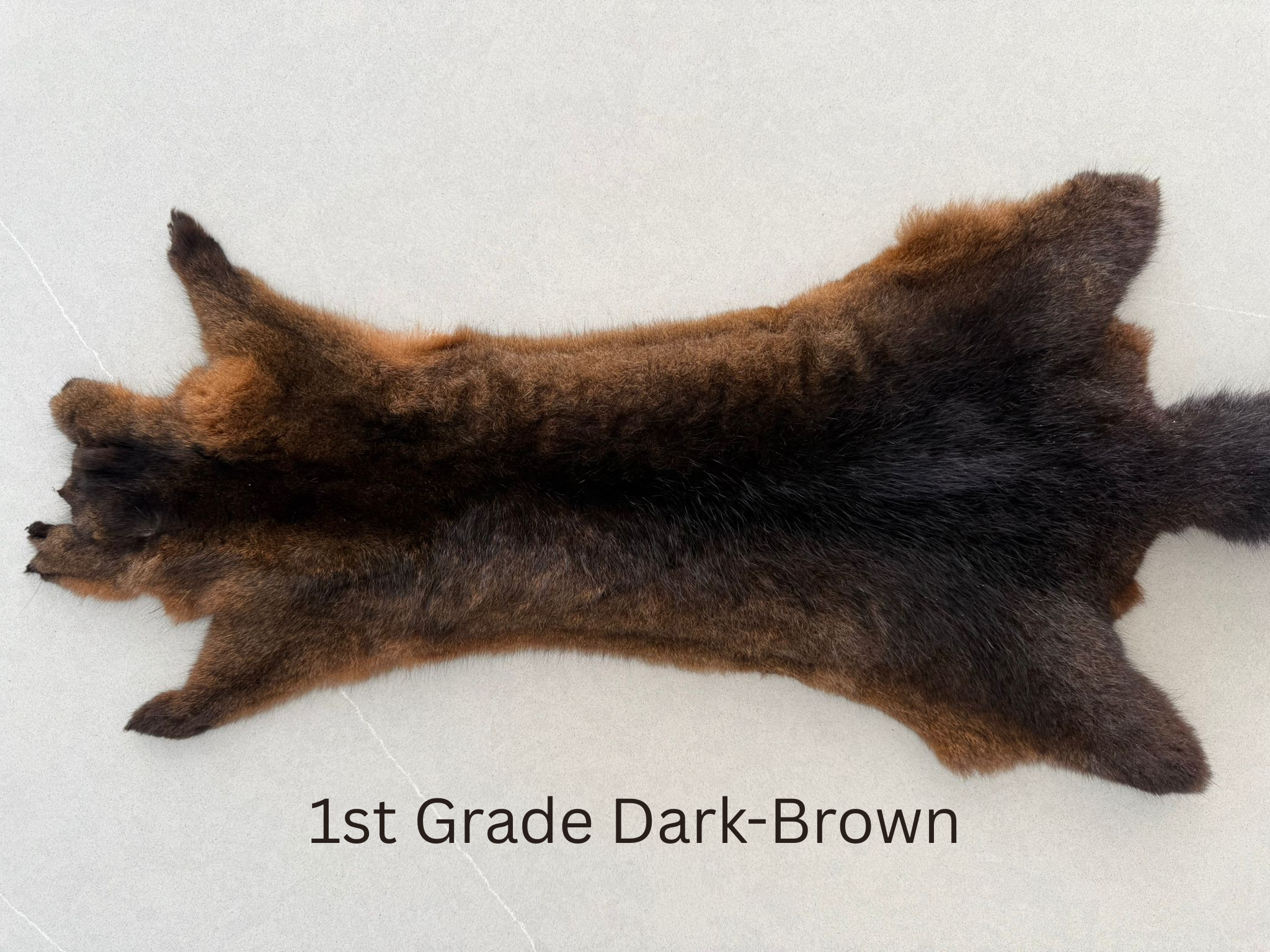 Premium New Zealand Possum Skins