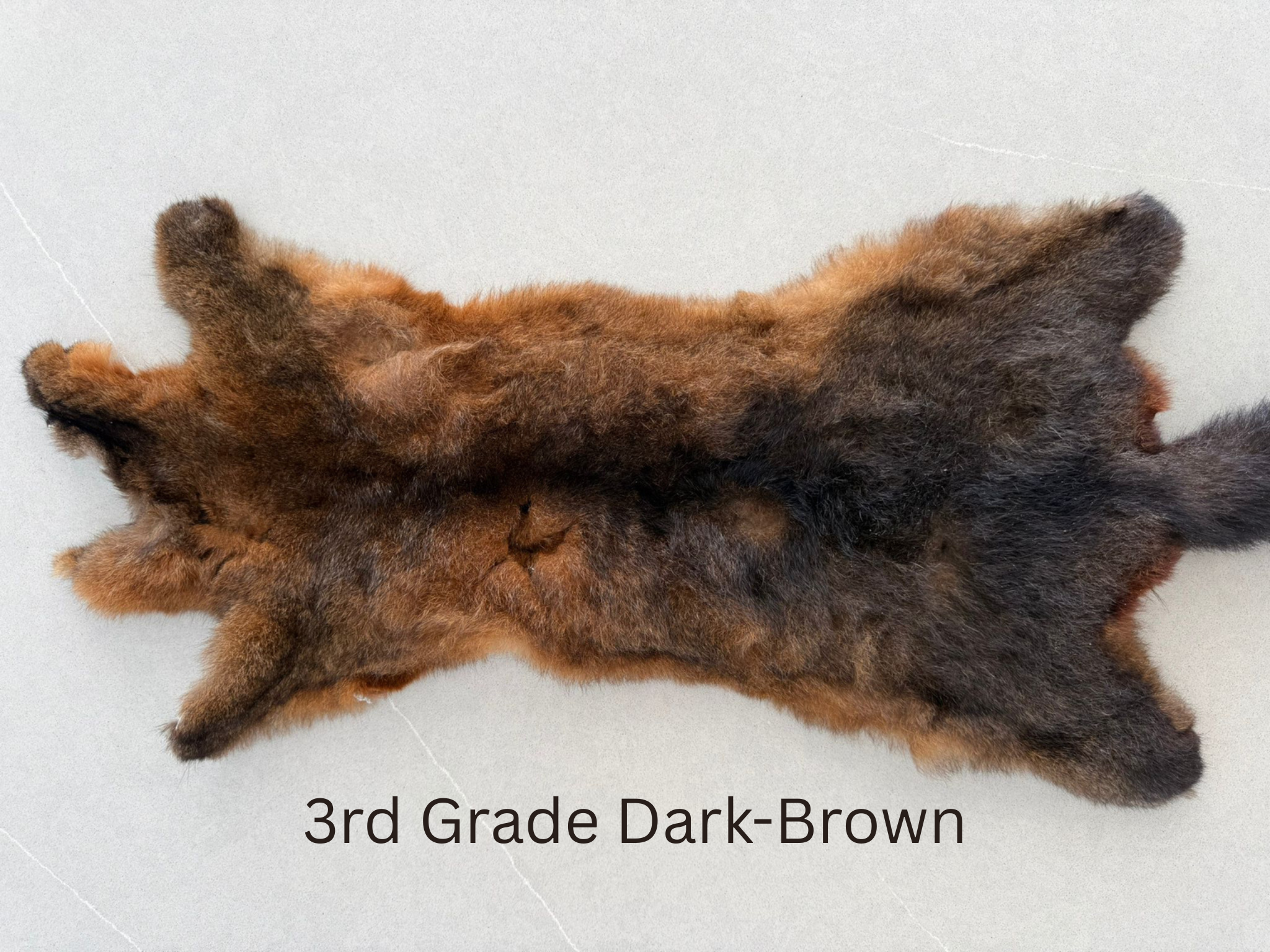 3rd Grade Dark Brown Possum Skin Horizontal Image.png