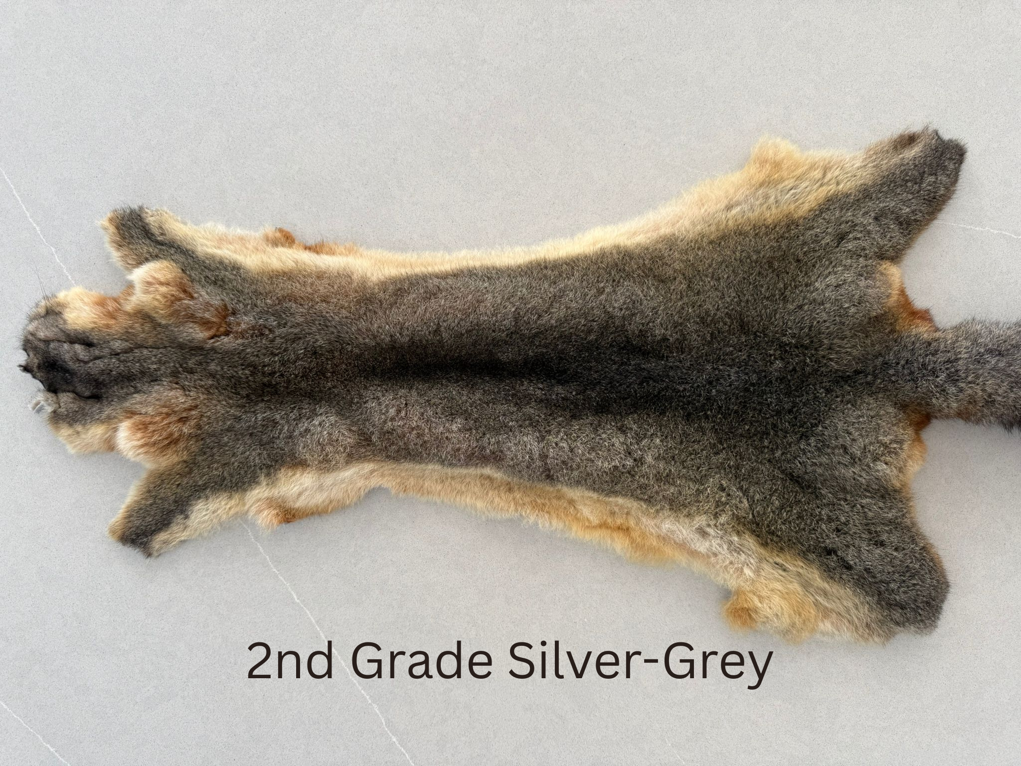 2nd Grade Silver Grey Possum Skin Horizontal Image.png