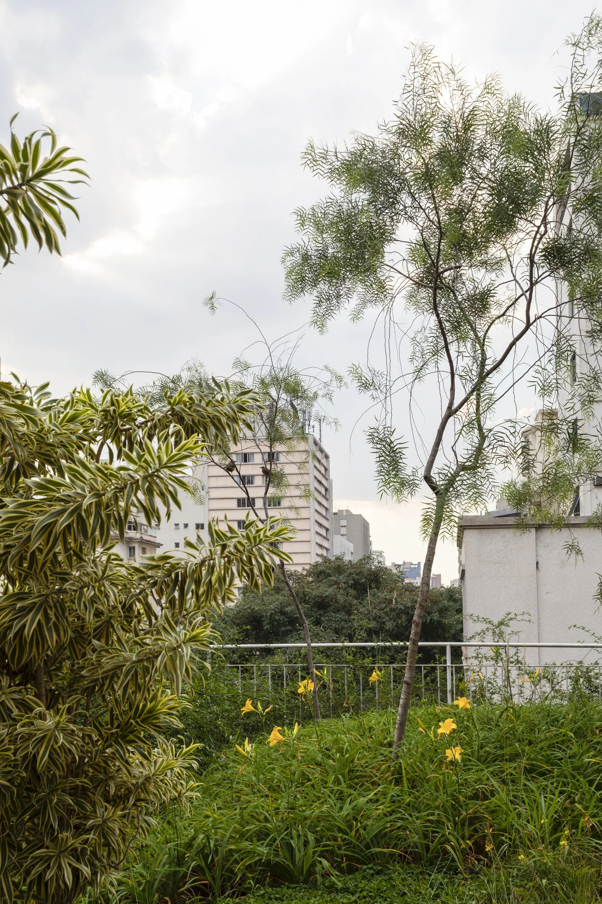 Lorena-building-Lucia_Manzano_76.jpg