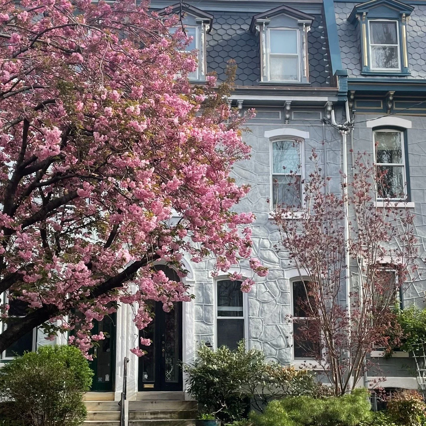 What makes these beauties really shine with historic charm? A classic mansard roof.

The trend made its way straight from Paris to Philadelphia, where wealthy homeowners adopted it to signal sophistication and European influence. Today, these roofs a