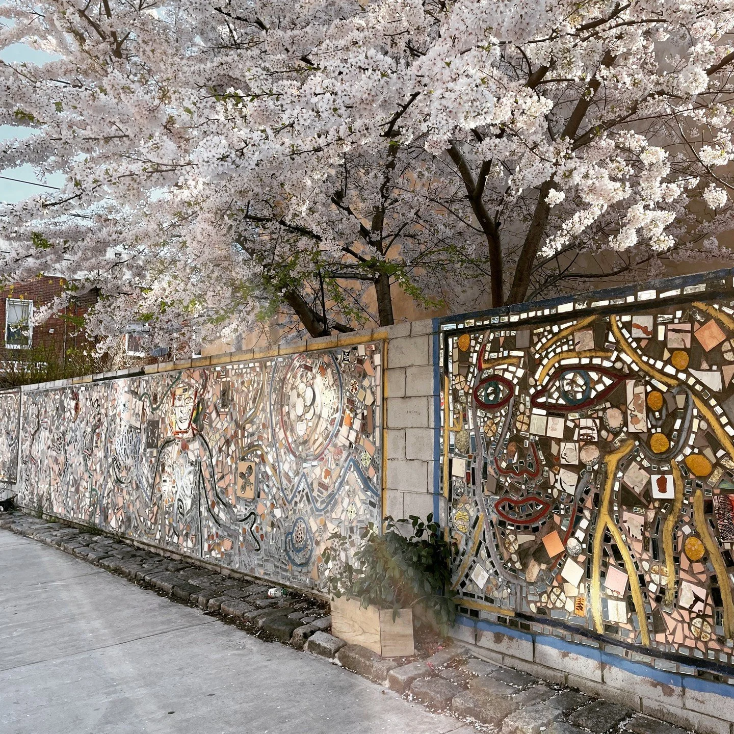 Philly is such a treat in spring