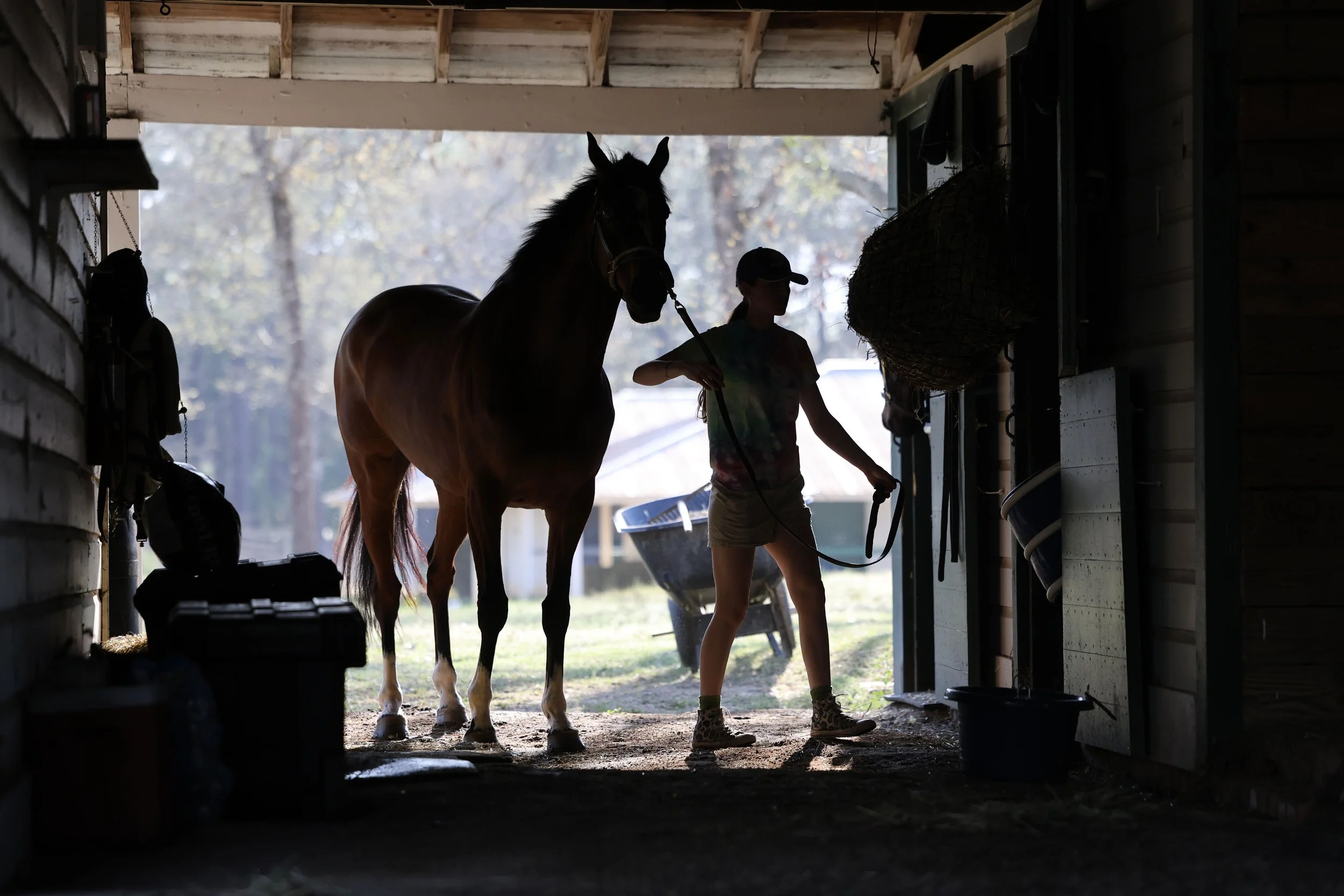 Eliza Edwards leads a horse into a nearby stall. Edwards, a Camden, South Carolina native, has attended the Cup since age 2, and has generational family history with horse racing. Edward’s dad was both a trainer and a jockey while her mom used to rid
