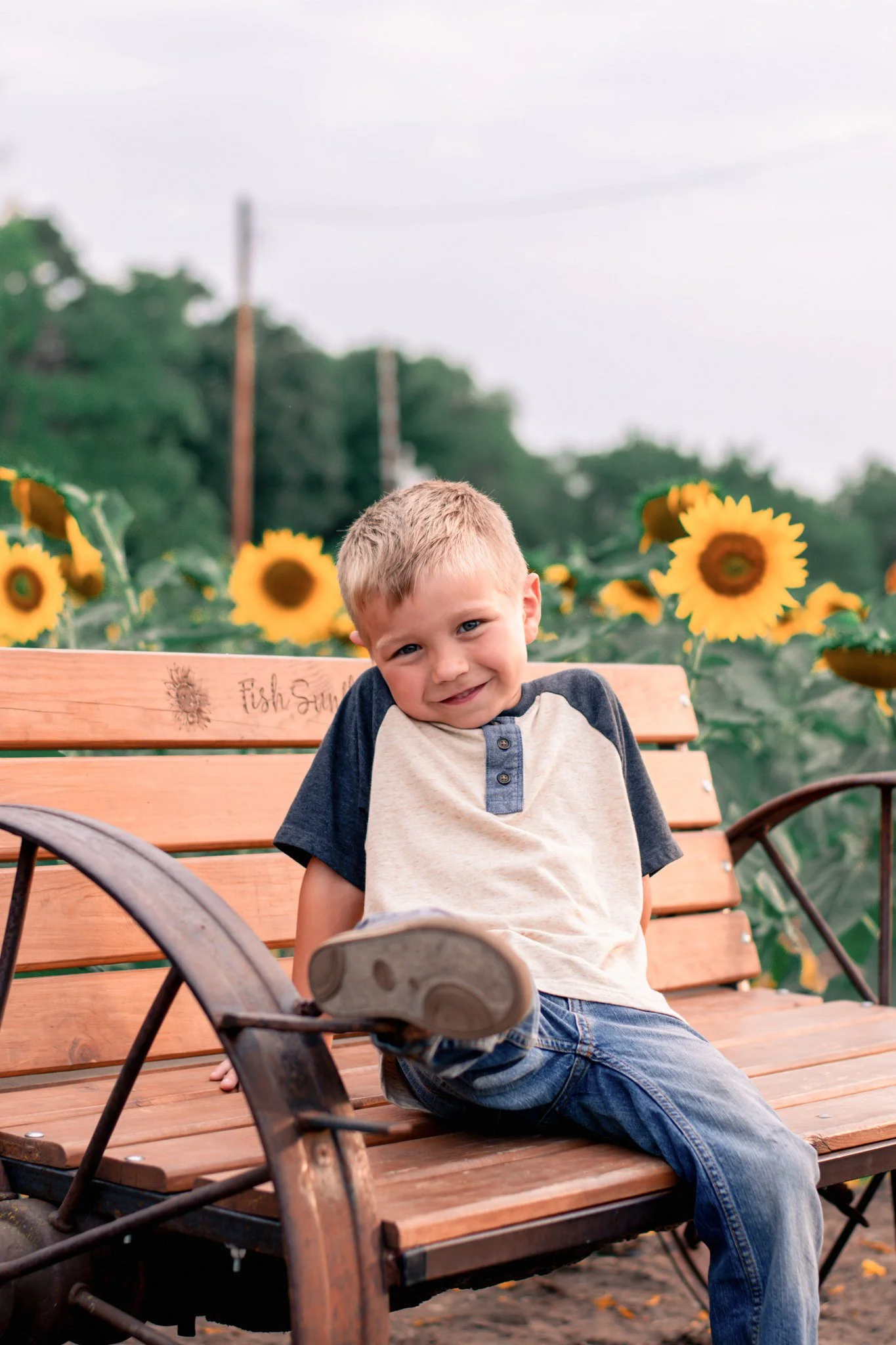 A young boy with blond hair and a big smile sits on a wooden bench in a sunflower field, with green trees and power lines in the background.