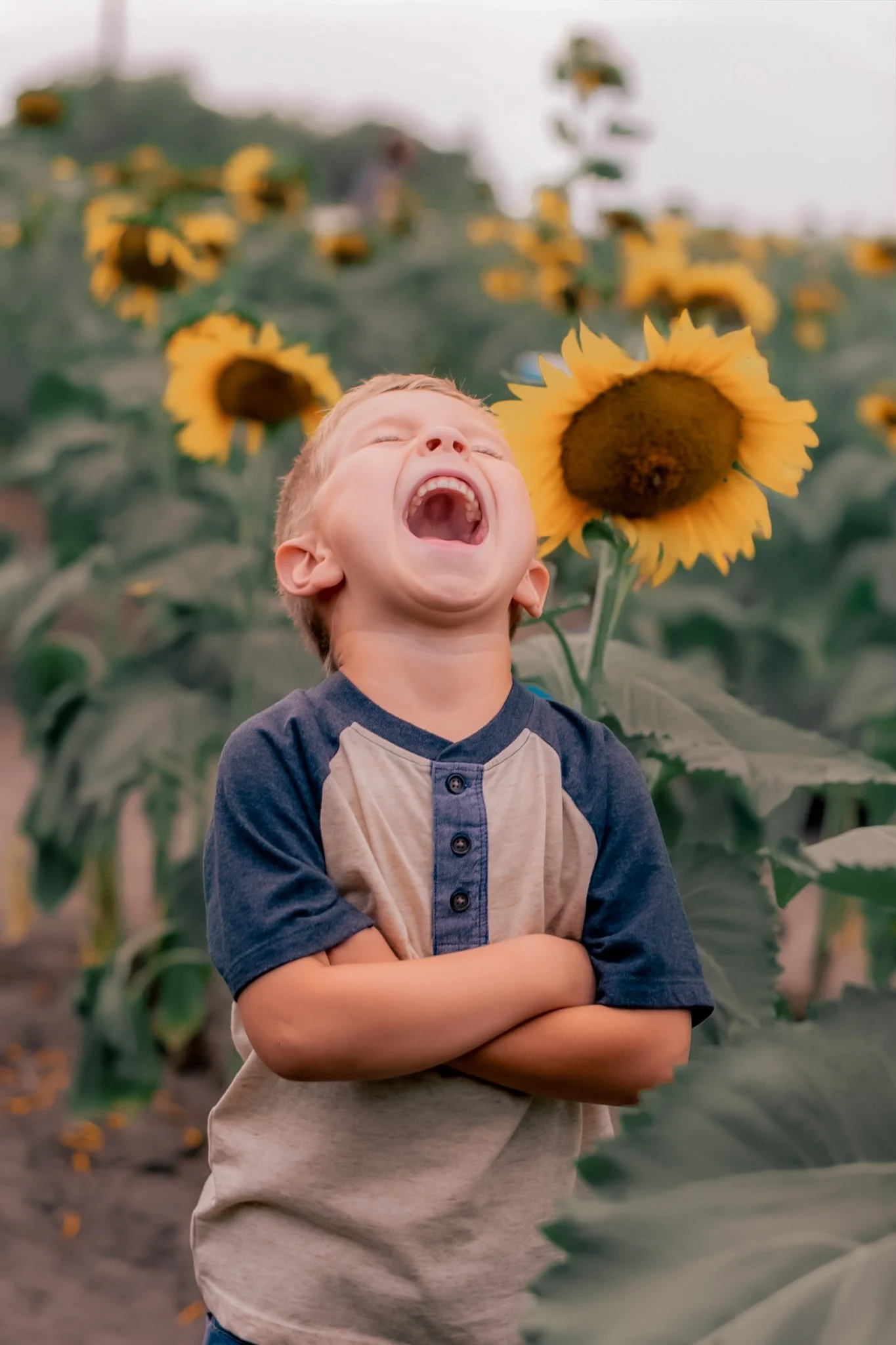 A boy in a gray and navy shirt laughing with his eyes closed, standing in a sunflower field.