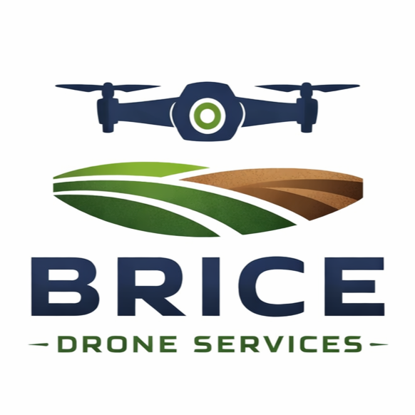 Brice Drone Services