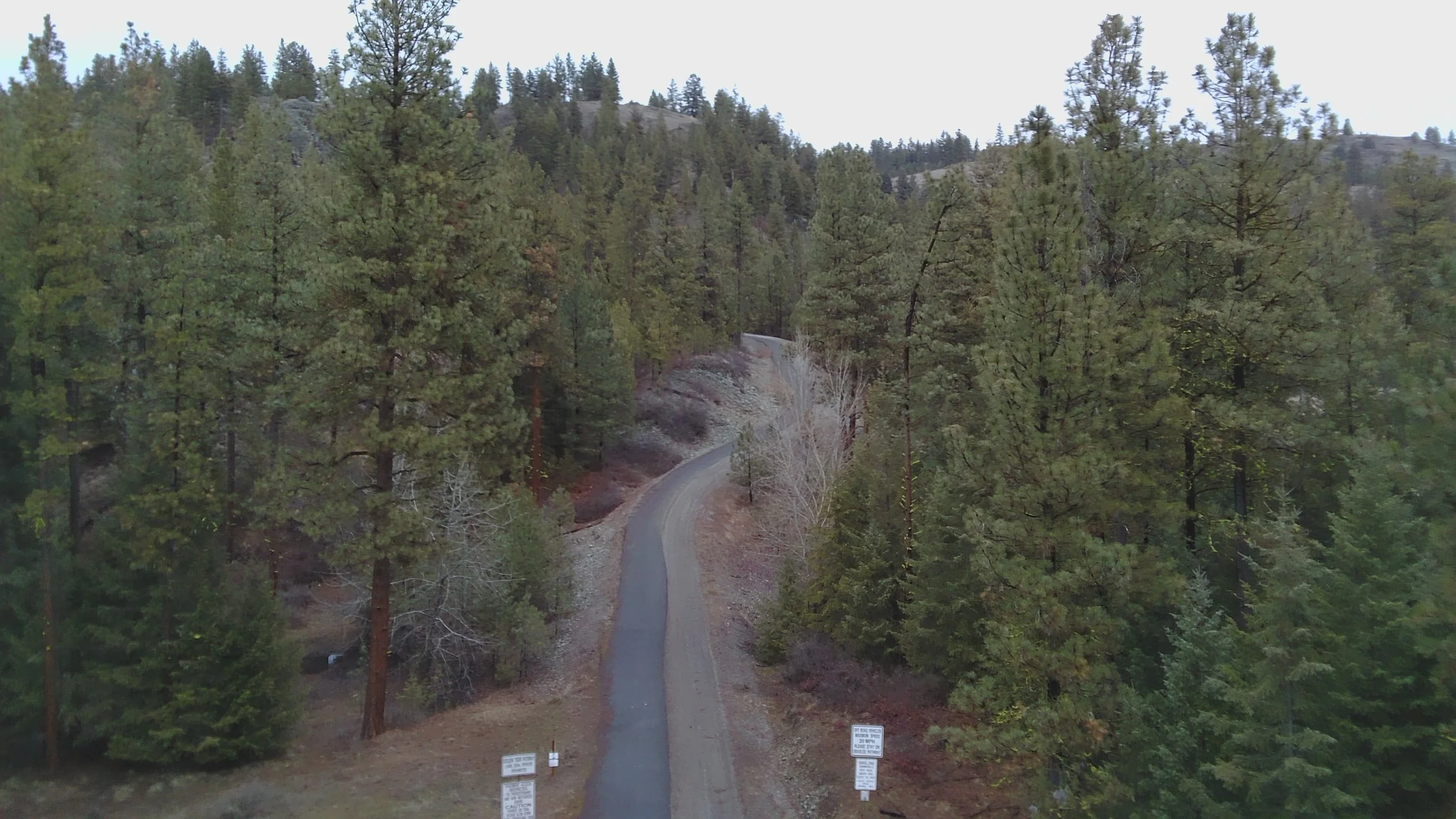 Custom Drone Service