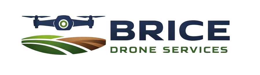 Brice Drone Services