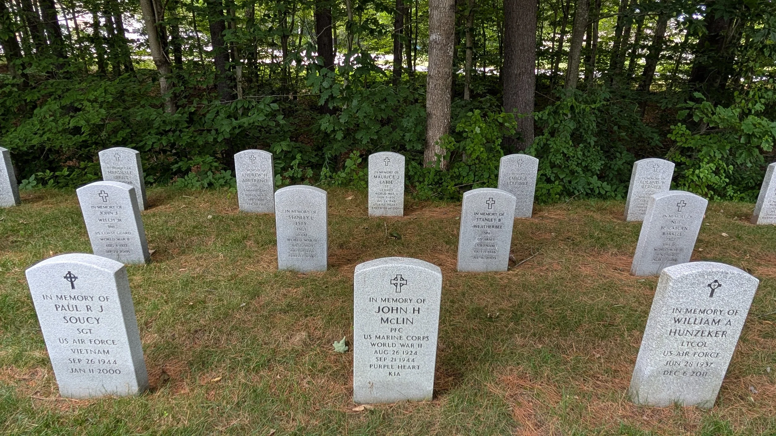 PXL_20250707_210020509.MP.jpg