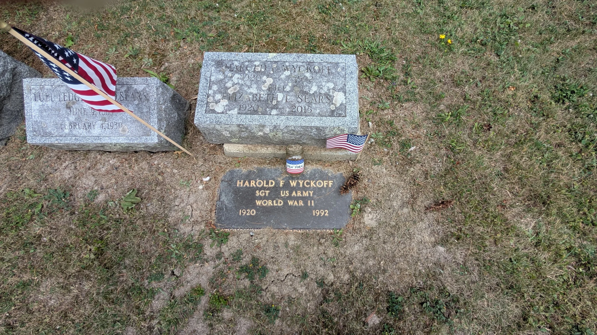 PXL_20250706_174447364.MP.jpg
