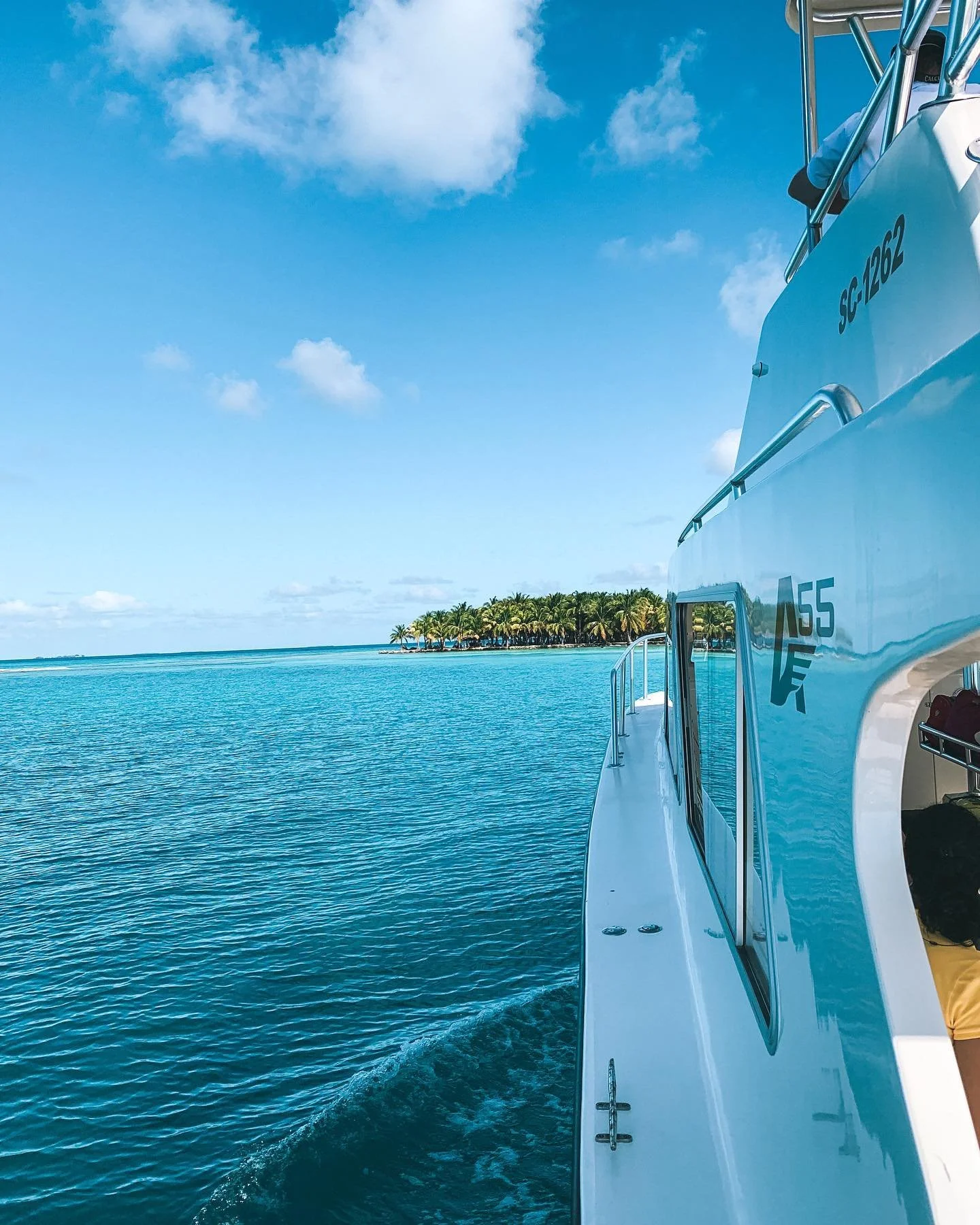 View from a boat showing the ocean, a distant island with palm trees, partially visible person on the boat, and blue sky with scattered clouds.