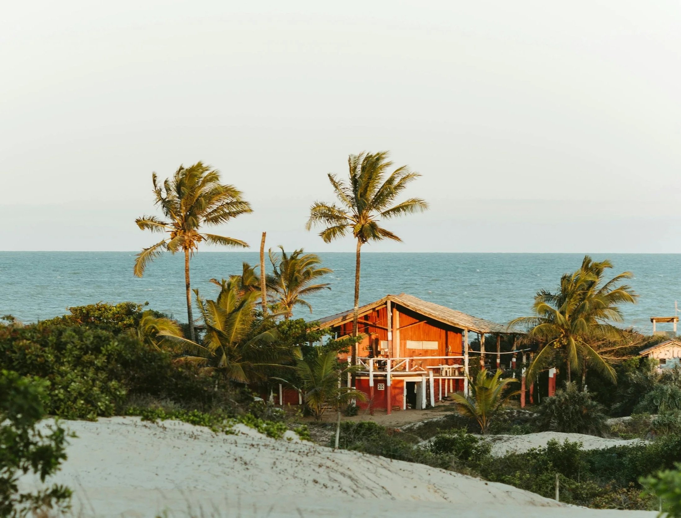 Beachside scene with tall palm trees, a wooden house with a balcony, and the ocean in the background.