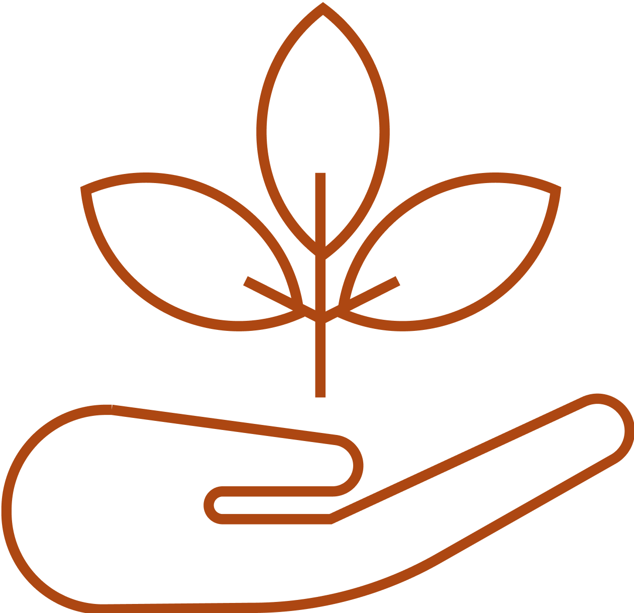 Line drawing of a hand holding a small plant with three leaves.