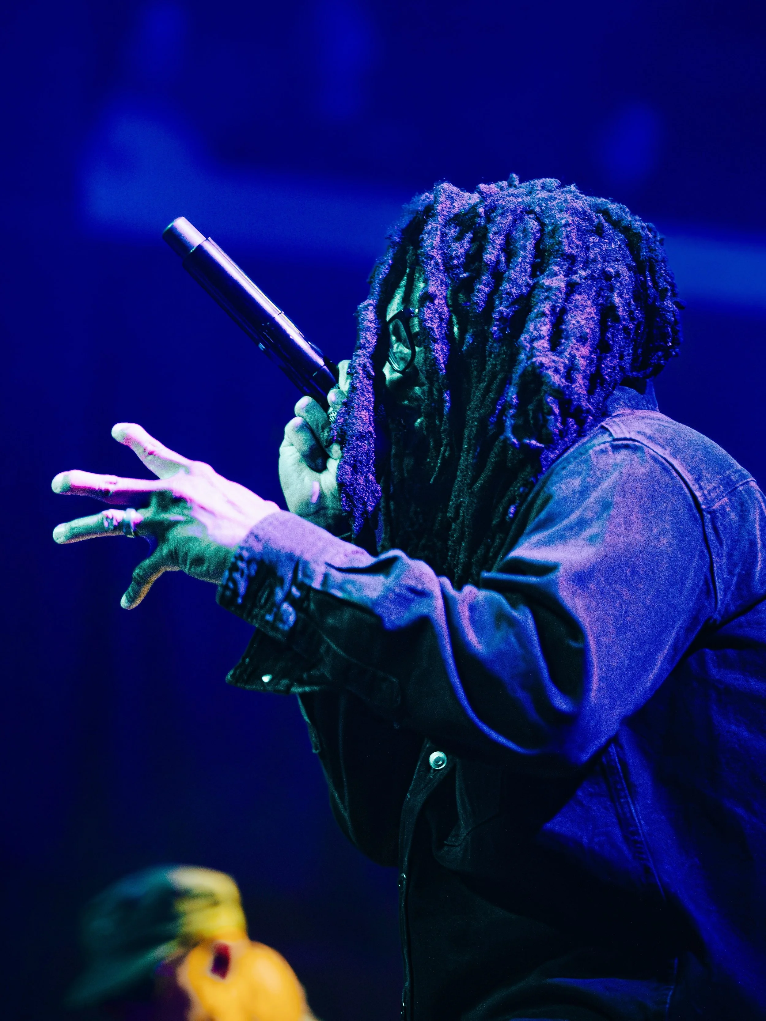 thievery corporation 6.JPG