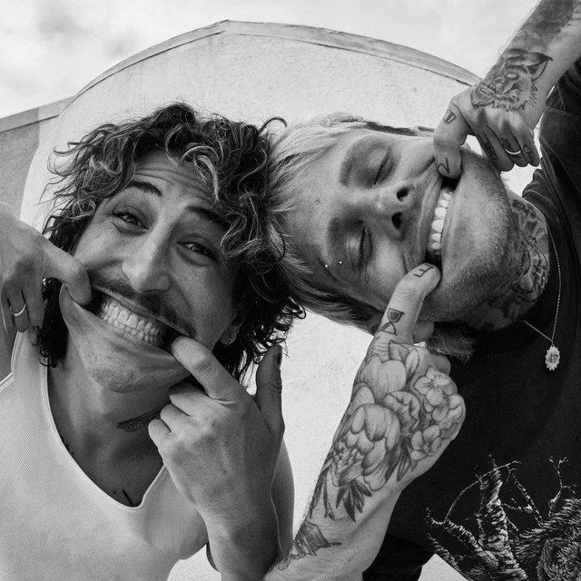 life is swell - evening elephants