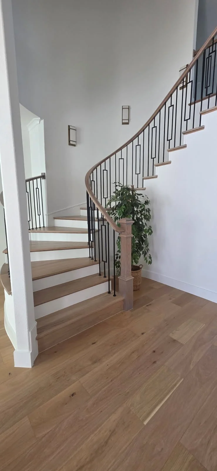 Interior view of a staircase with wooden steps, black metal railing, and a curved wooden handrail, featuring a potted green plant at the base and white walls.
