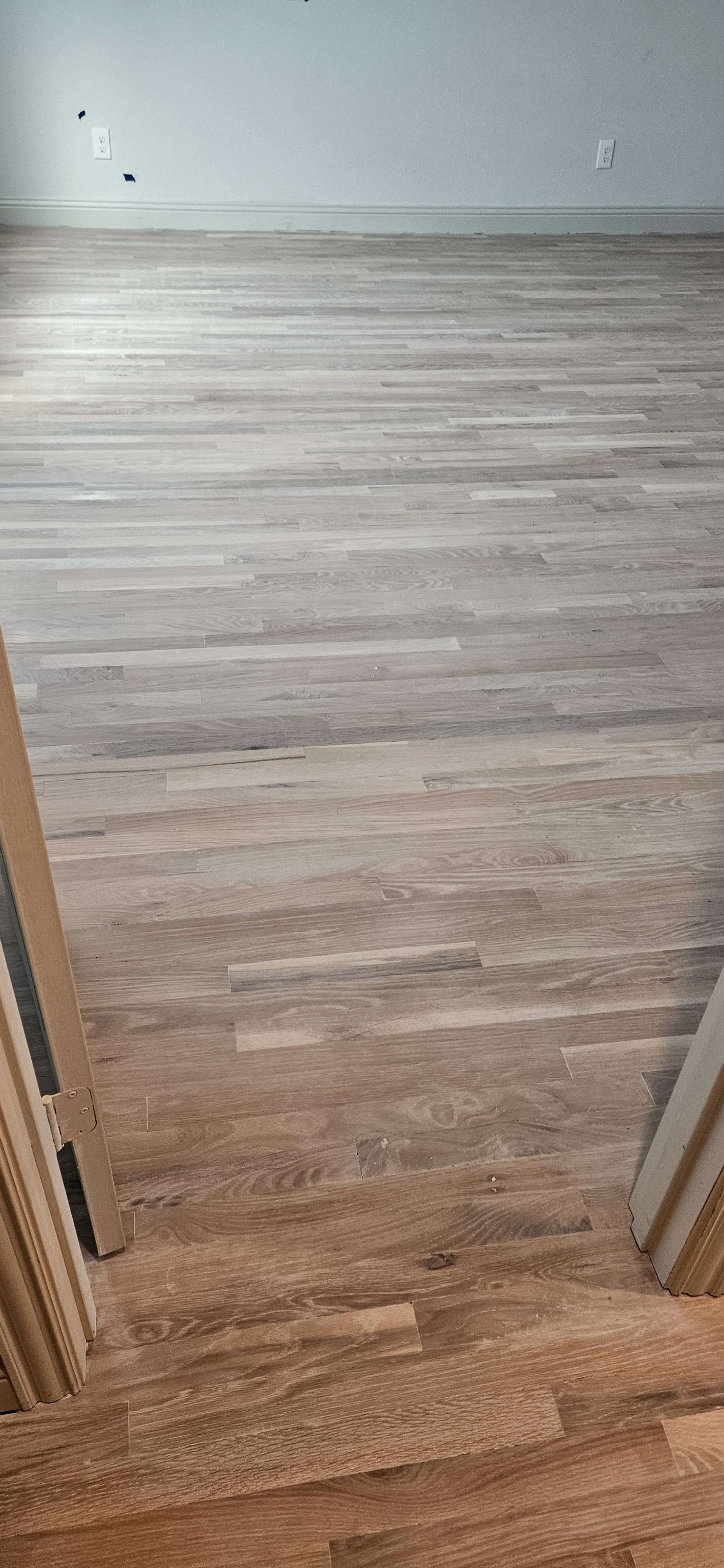 Empty room with light-colored wood flooring and gray walls, with electrical outlets visible.