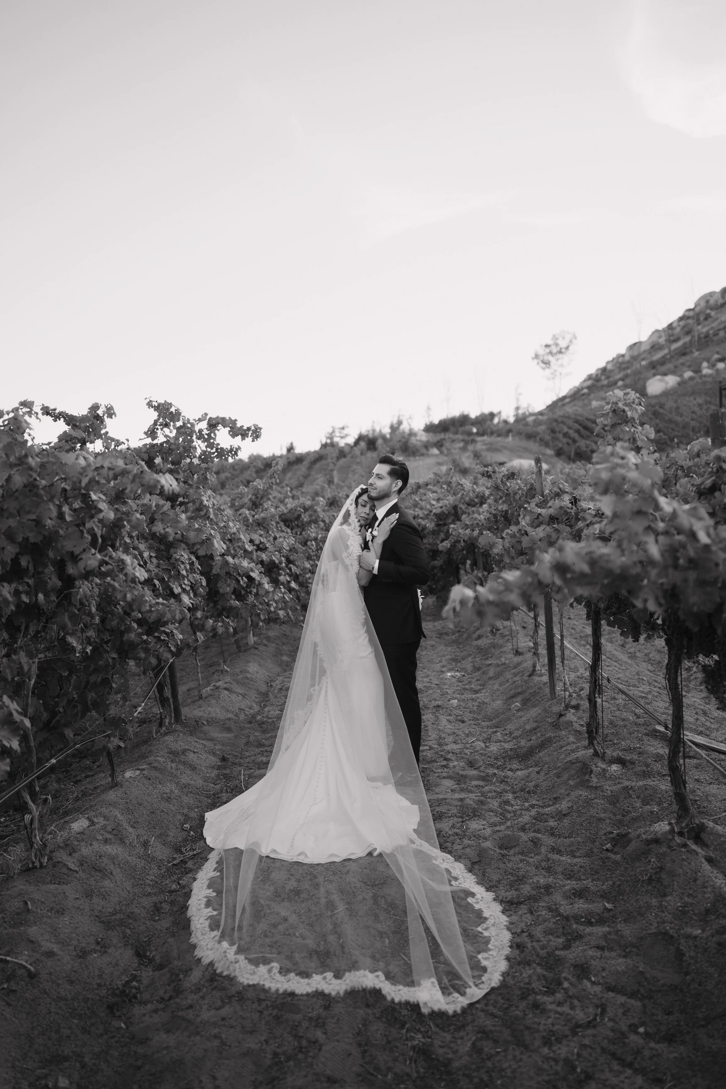 Black and white photo of a bride and groom embracing in a vineyard, the bride wearing a long veil and gown, and the groom in a tuxedo, with outdoor scenery and hills in the background. Wedding Photography in Valle de Guadalupe, Ensenada, Baja Califor