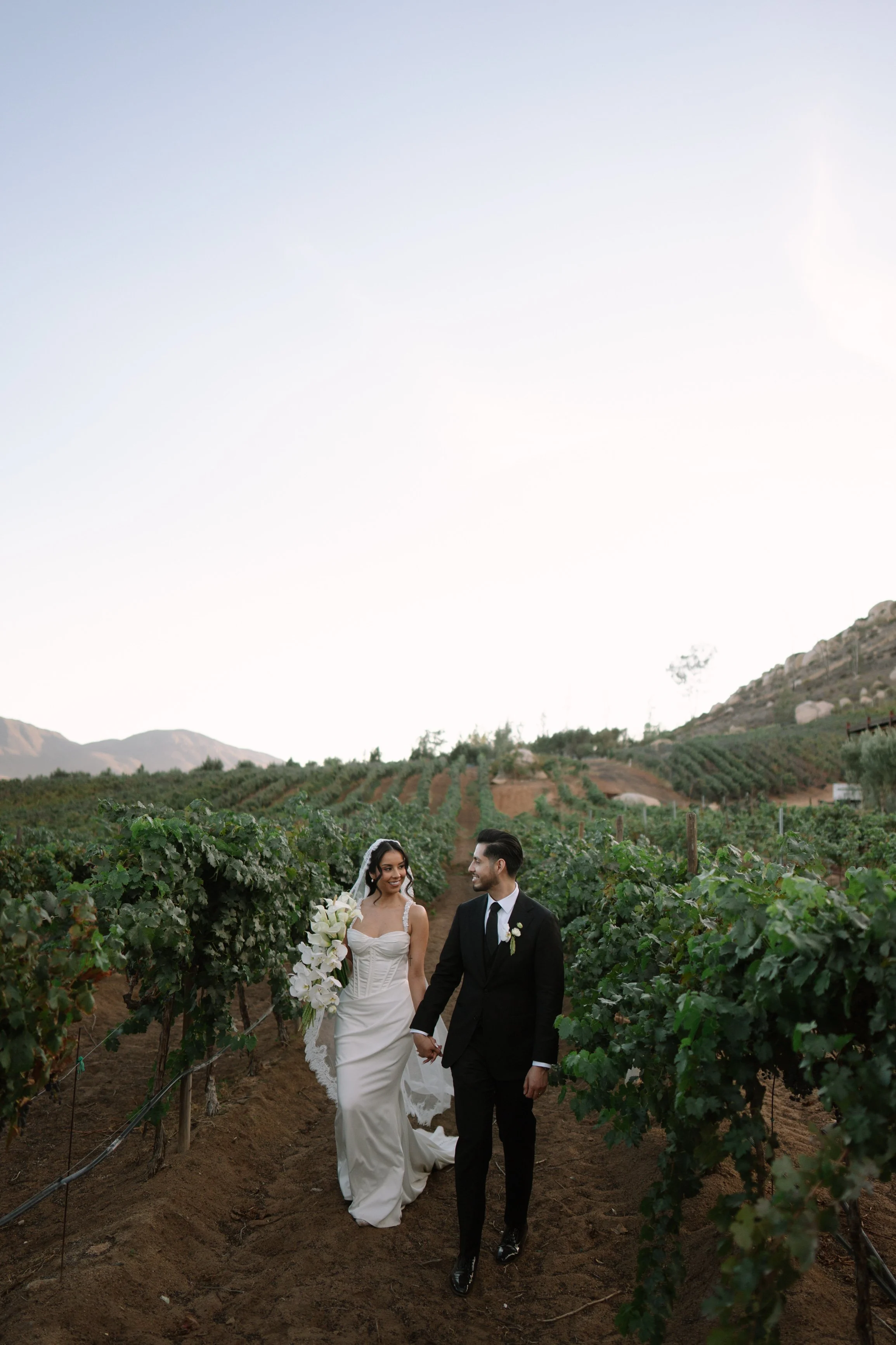 A bride and groom walking hand in hand through a vineyard at sunset, celebrating their wedding. Wedding Photography in Valle de Guadalupe, Ensenada, Baja California.