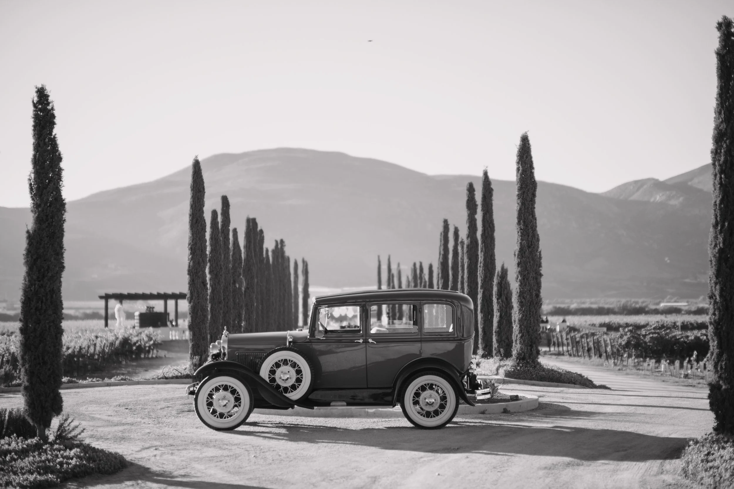 A black vintage car parked on a roundabout with tall cypress trees and a mountain landscape in the background, in black and white. Wedding Photography in Valle de Guadalupe, Ensenada, Baja California.
