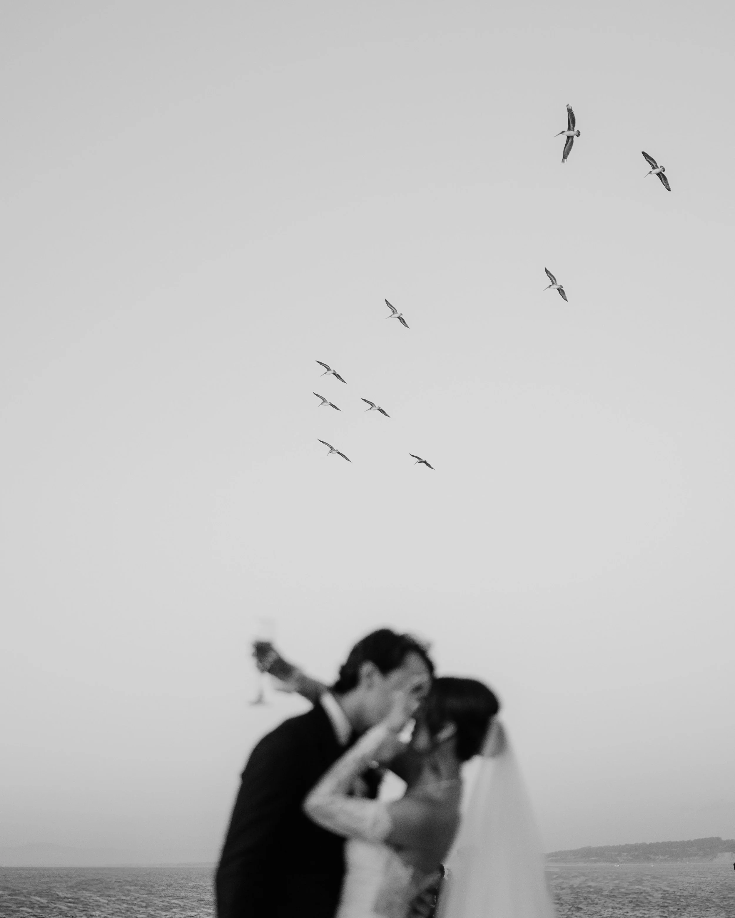 A black and white photo of a couple kissing by the water, with seagulls flying in the sky above. Wedding Photography in Valle de Guadalupe, Ensenada, Baja California.
