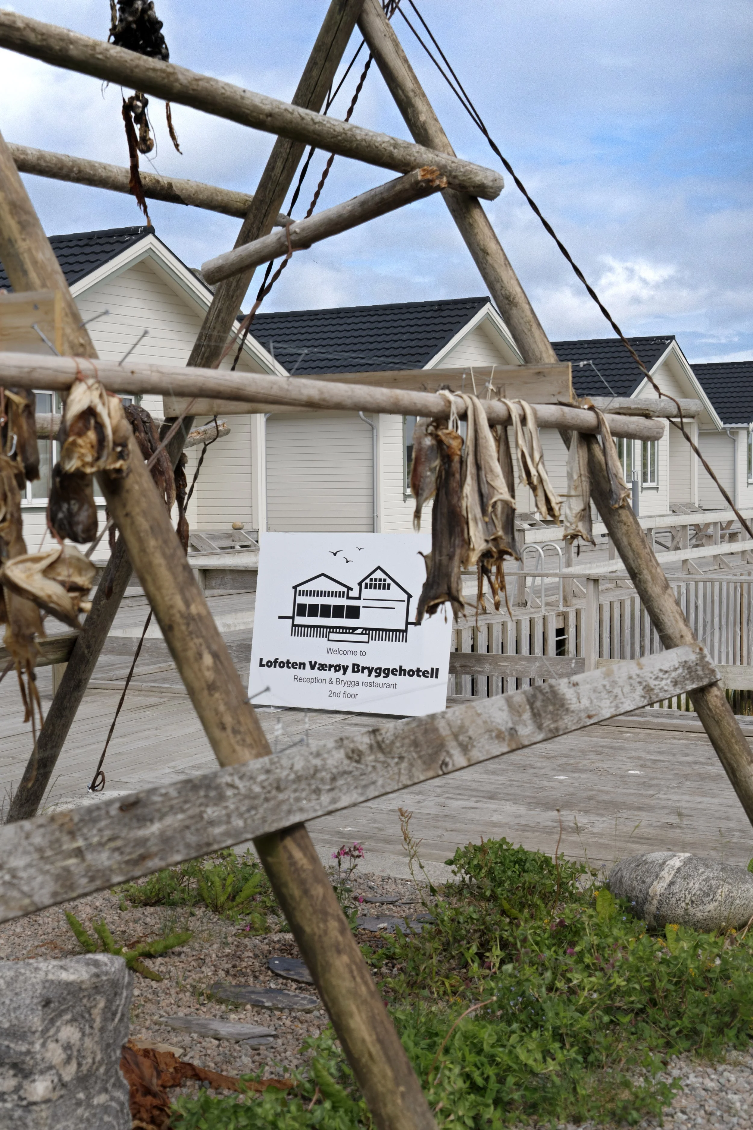 A sign indicating the entrance to the Lofoten Værøy Bryggehotell on a sandy and grassy area surrounded by rocks and plants, with a wooden fence and a row of modern white houses with black roofs in the background.