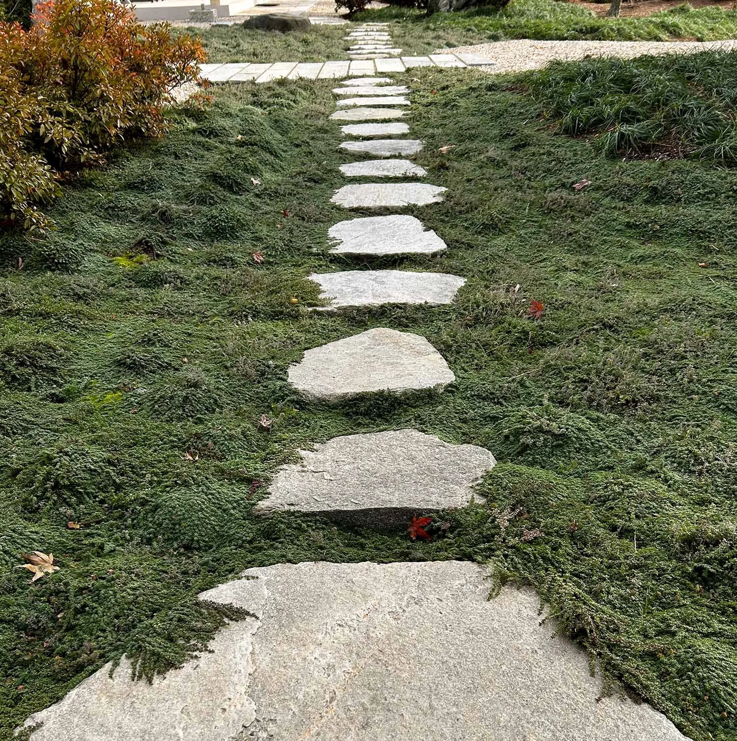 Straight Line of Stepping Stones in Japanese Landscape Garden