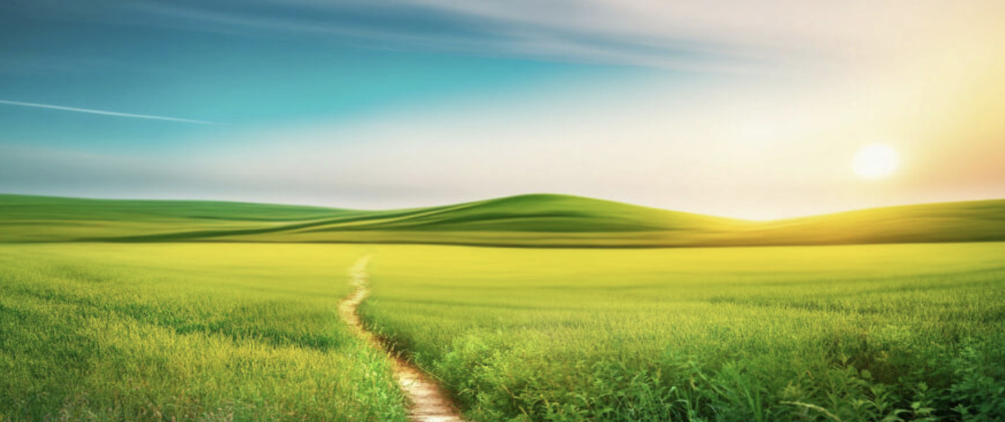 What Is The Spacious Leadership Framework?