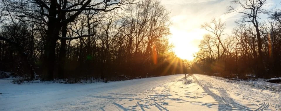 Hope for Introverts, Grinches, and Everyone Who Feels Overwhelmed