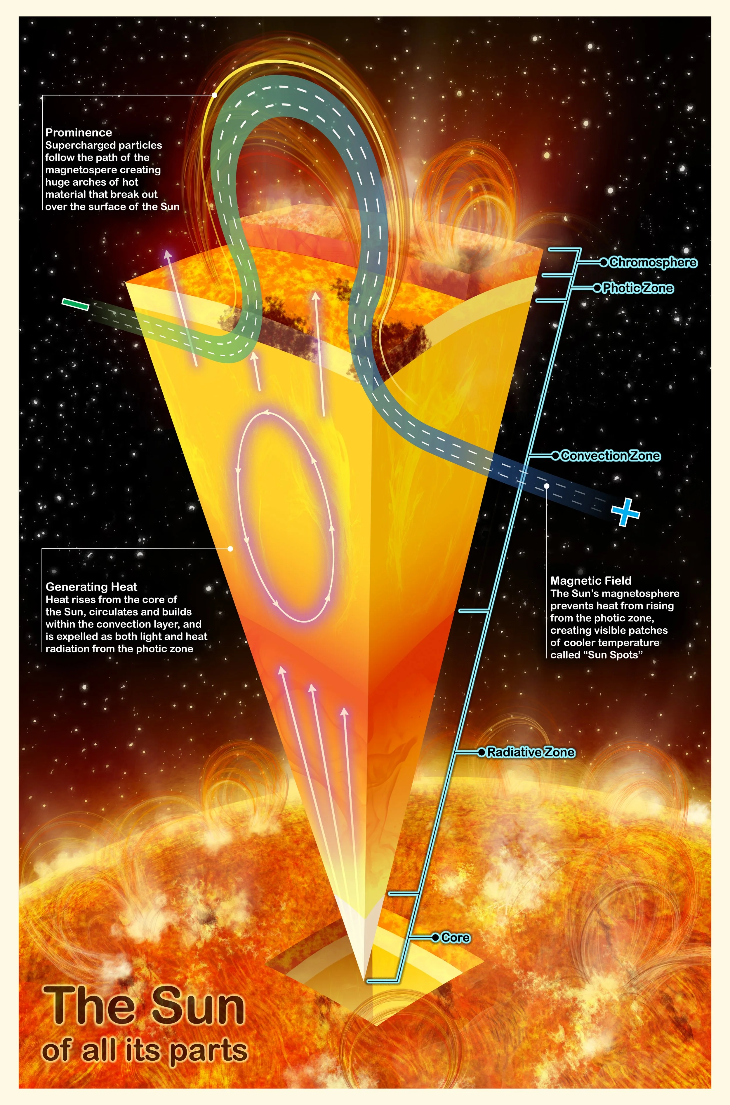 The Sun of all its parts - 2026 Adobe Illustrator and Photoshop