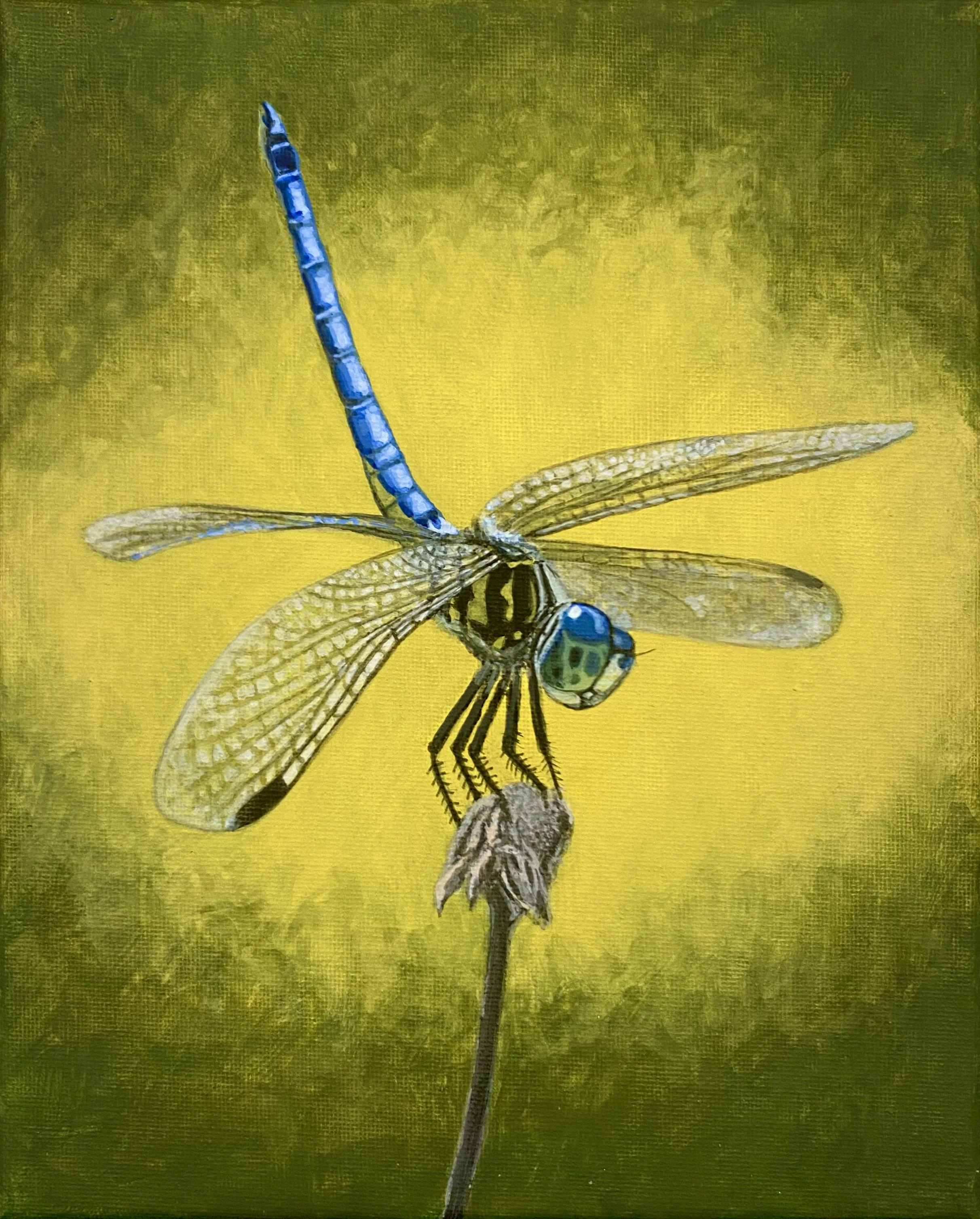 "On Dasher" - 2025 Acrylic on Canvas