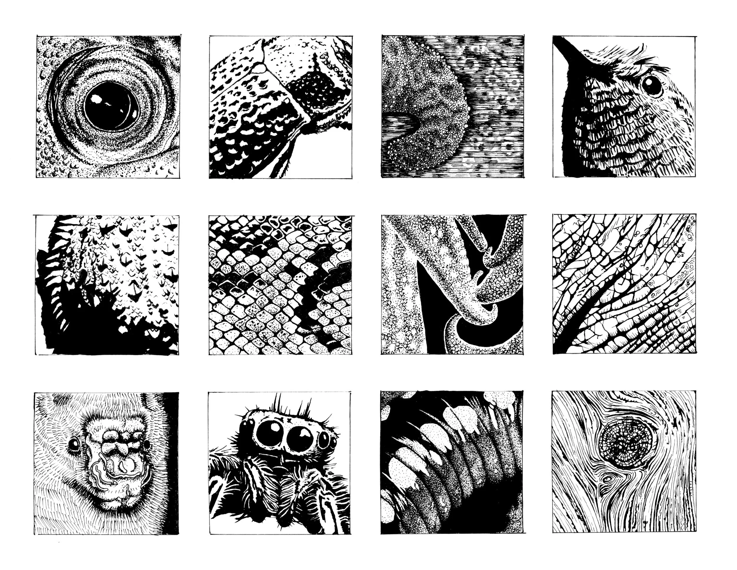 Inking 12 Ways - 2025 Microns and Brush Pen