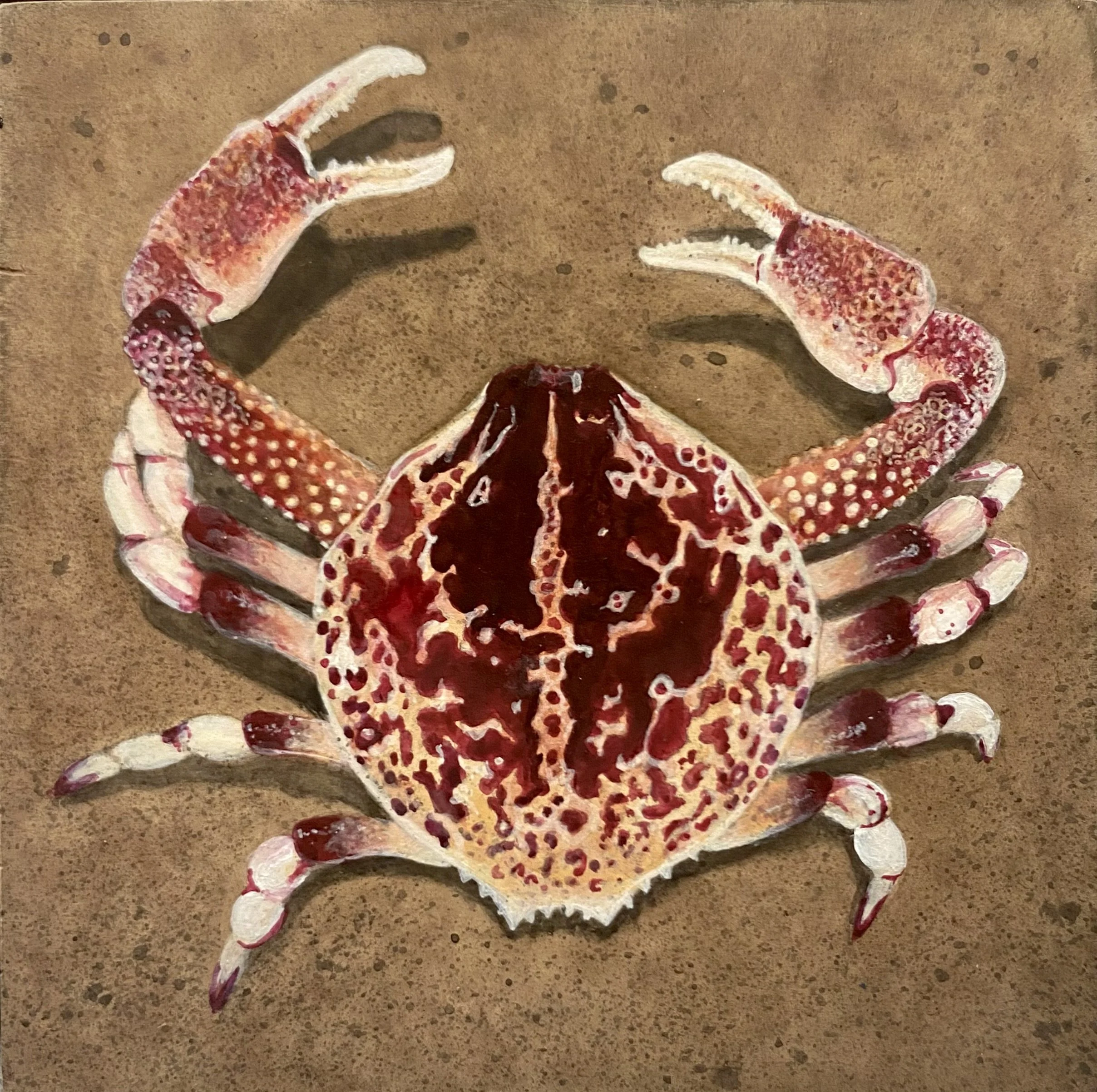 "Picker" - 2025 Acrylic on Wooden Board