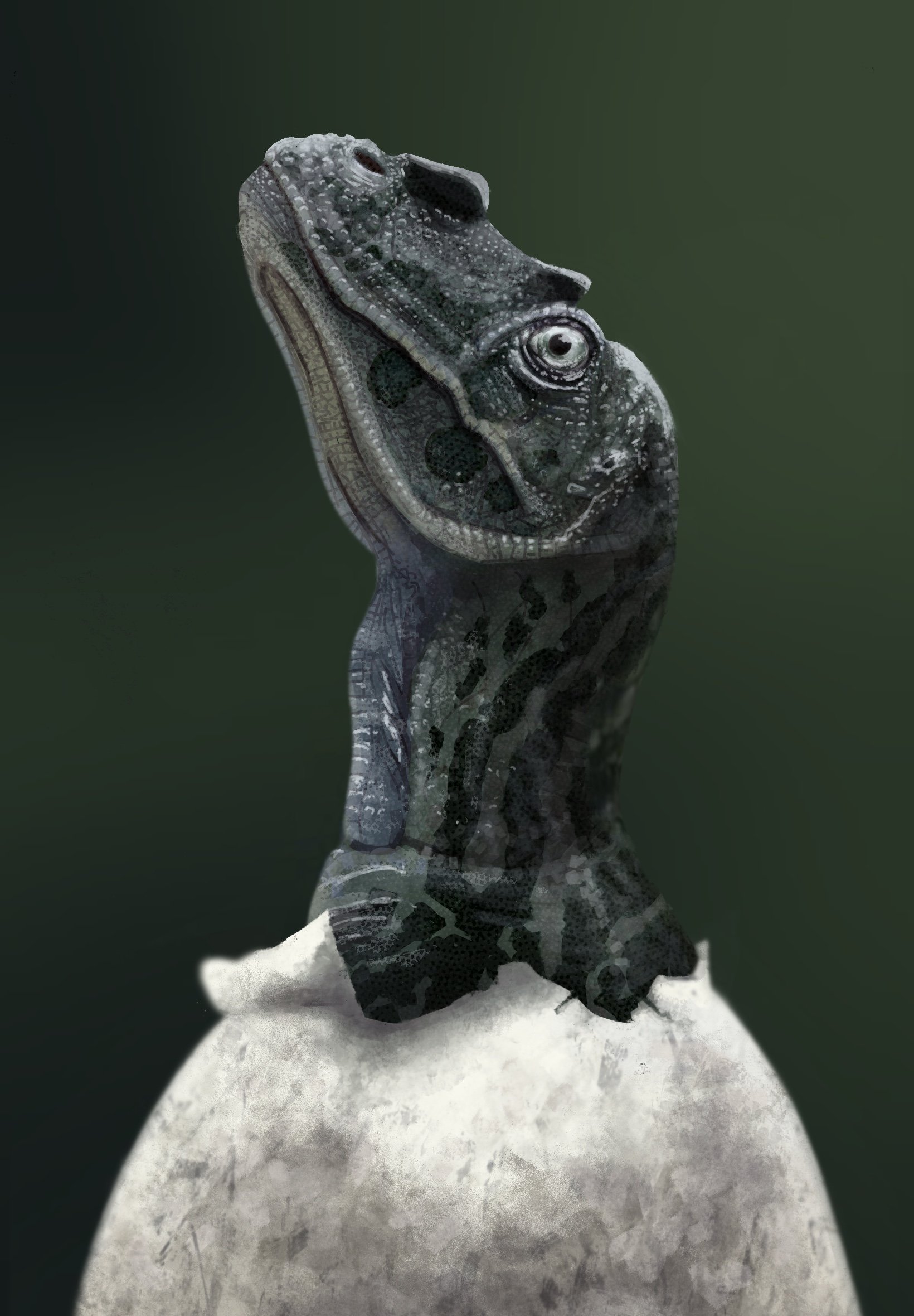 "Hatching Ceratosaurus" - 2023 Procreate