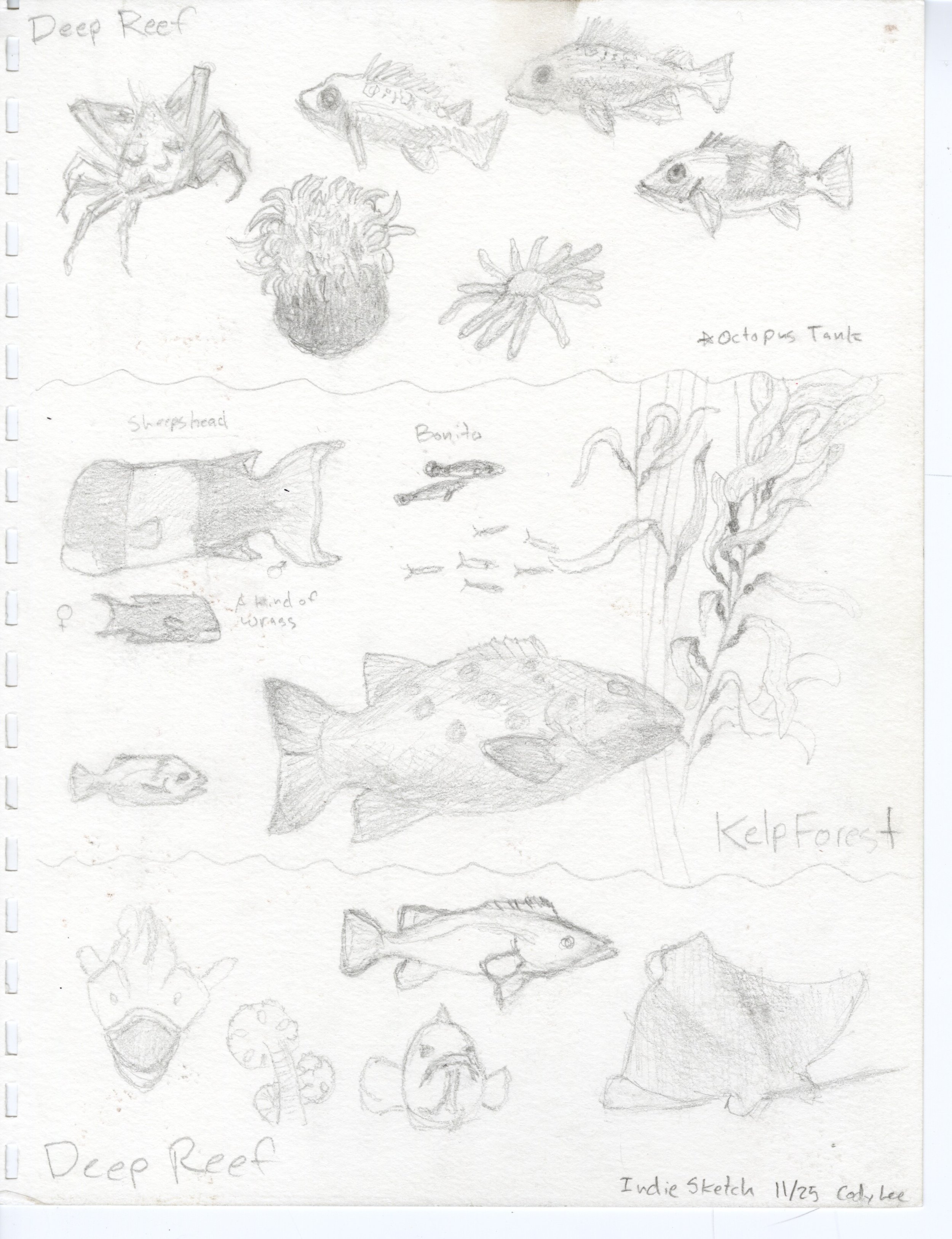 Monterey Bay Aquarium - 2025