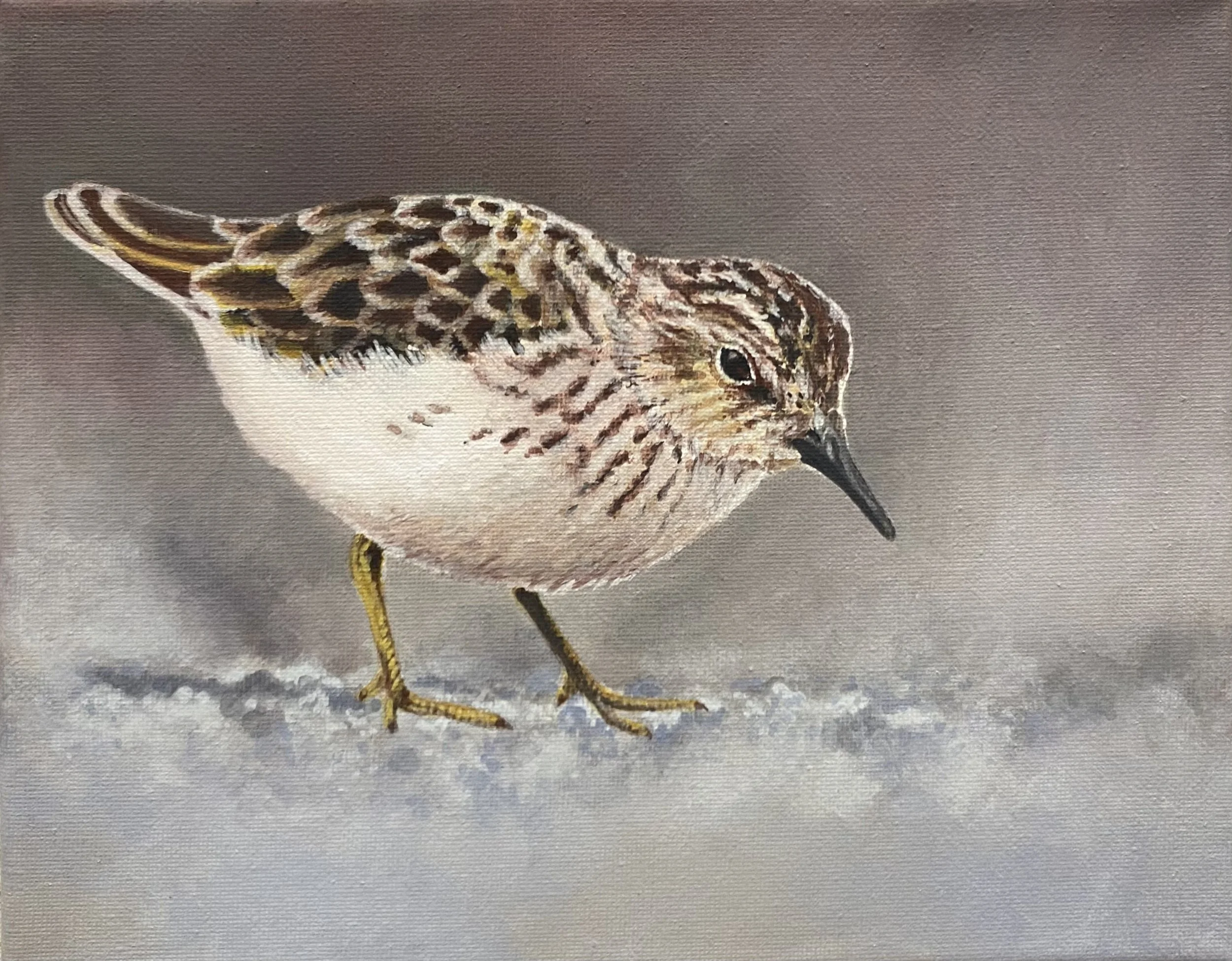 "Sifter" - 2025 Acrylic on Canvas