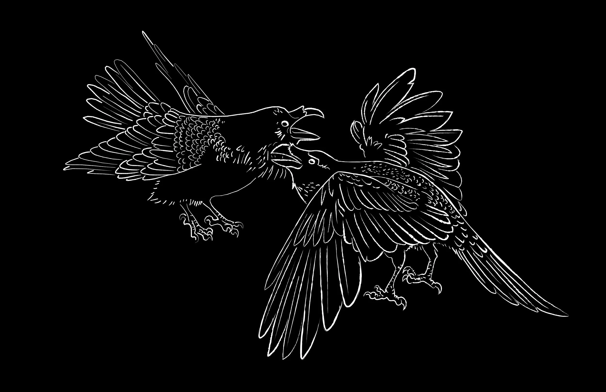 Contrasting Ravens - 2025 Illustrator