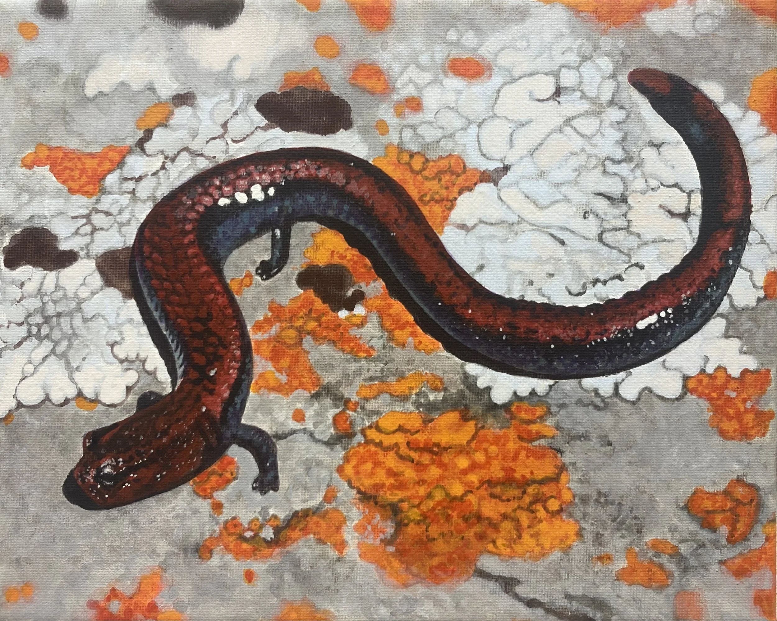 "Slick" - 2025 Acrylic on Canvas