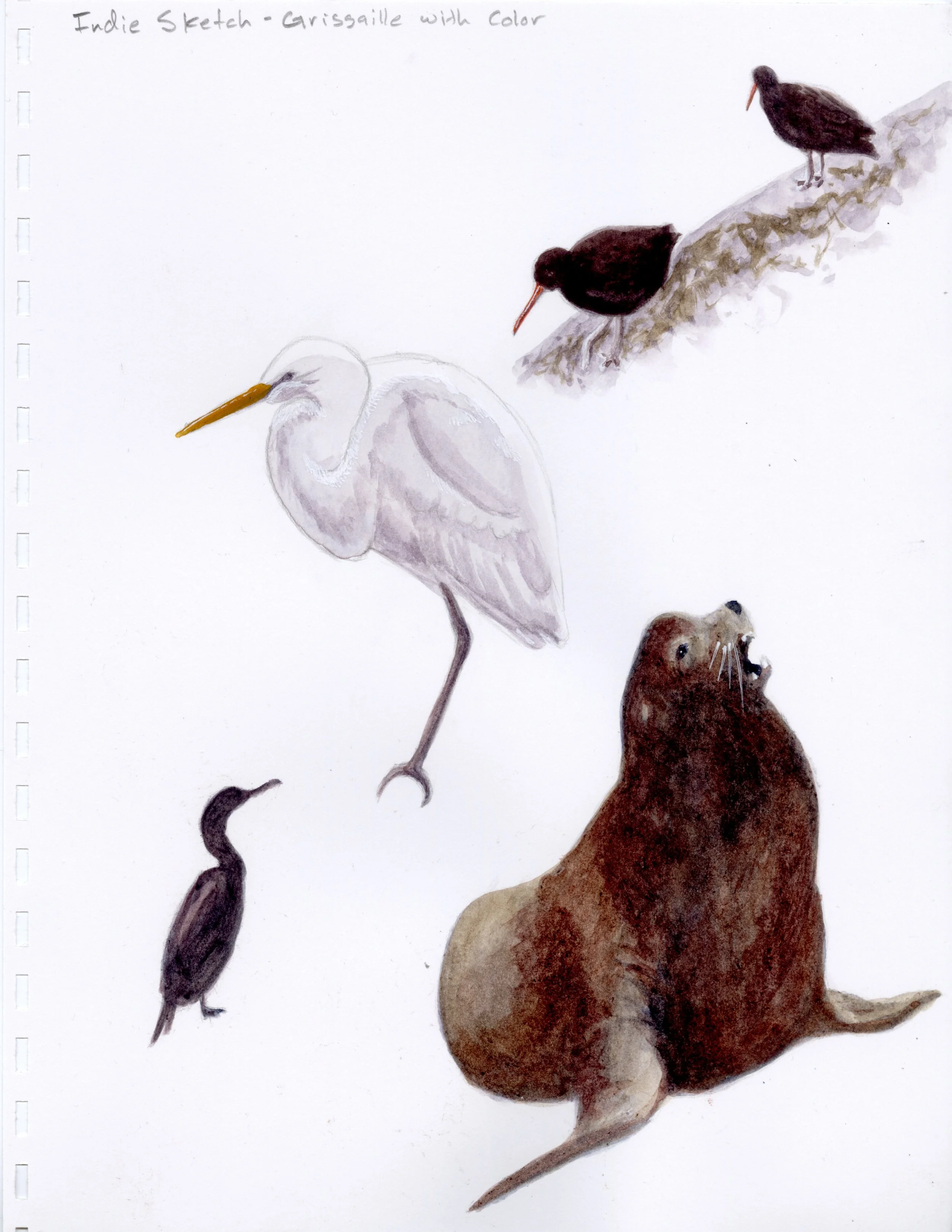 Breakwater Animals - 2025