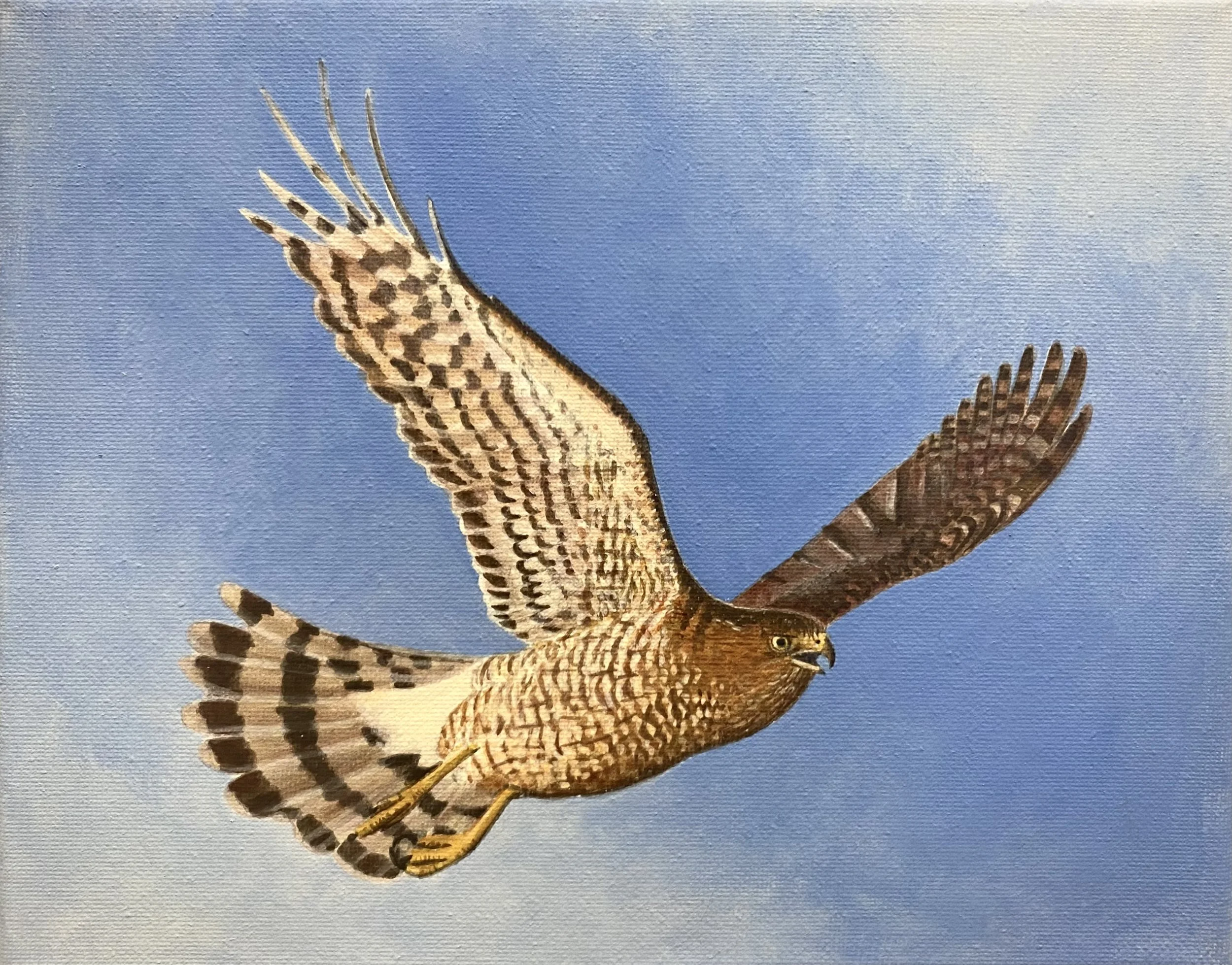 "Flighted" - 2025 Acrylic on Canvas