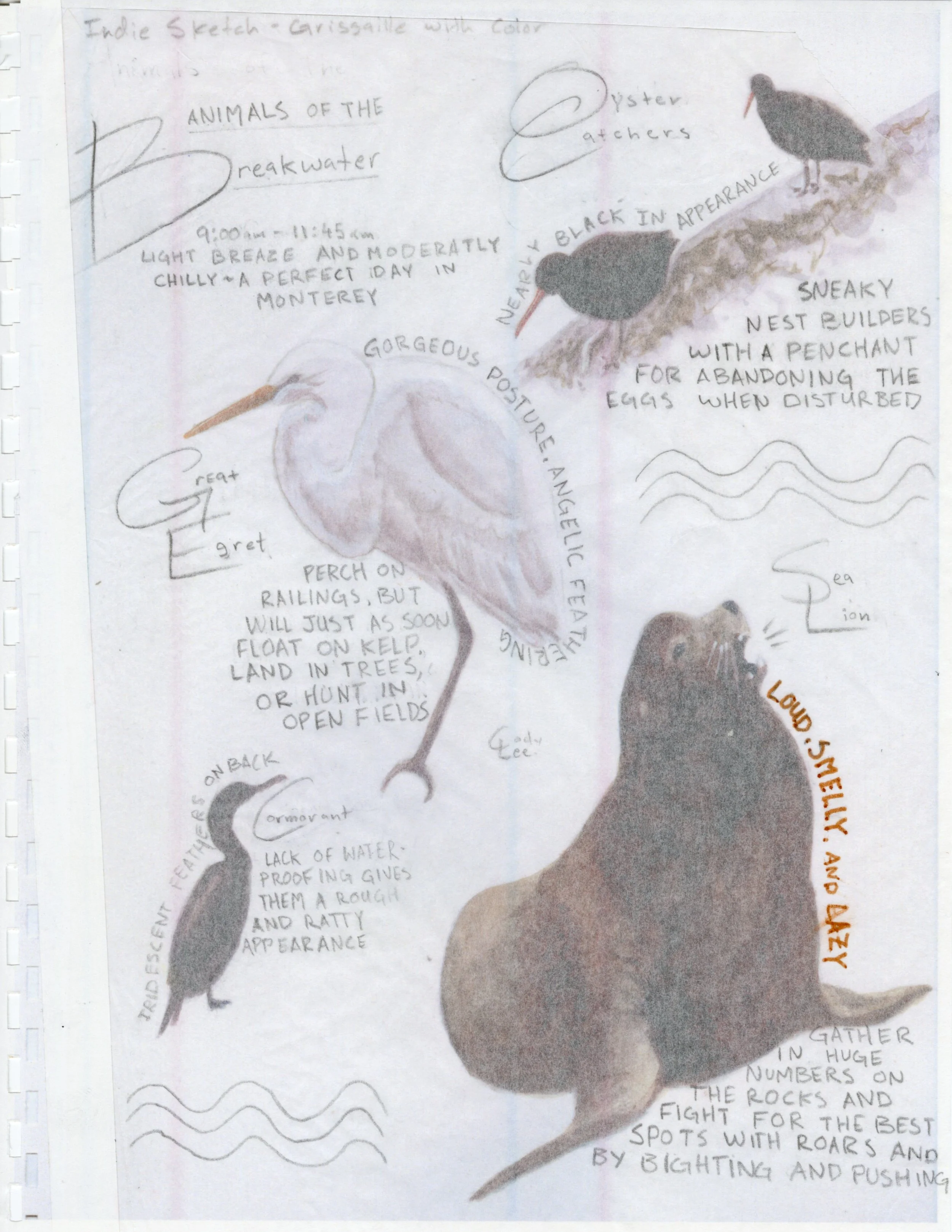 Breakwater Animals with Test Text - 2025