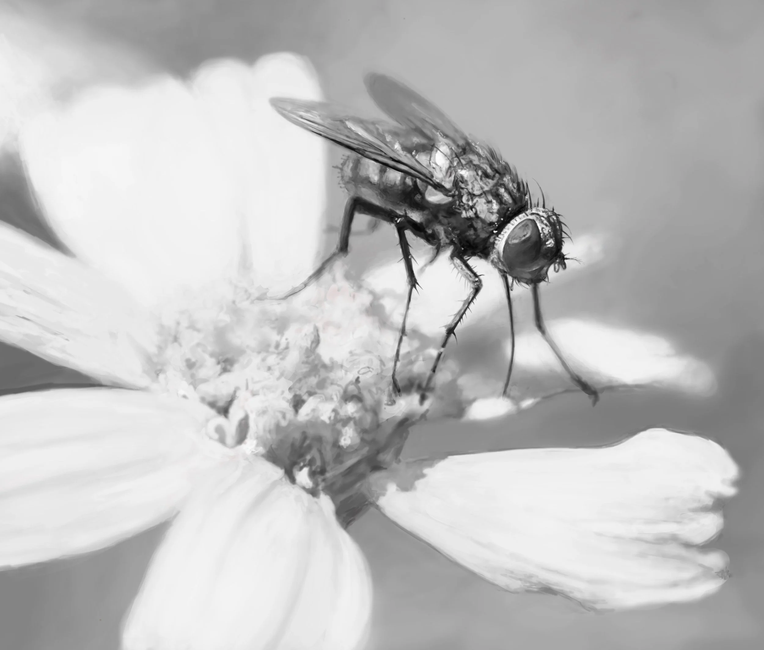 Digital Art in Black and White