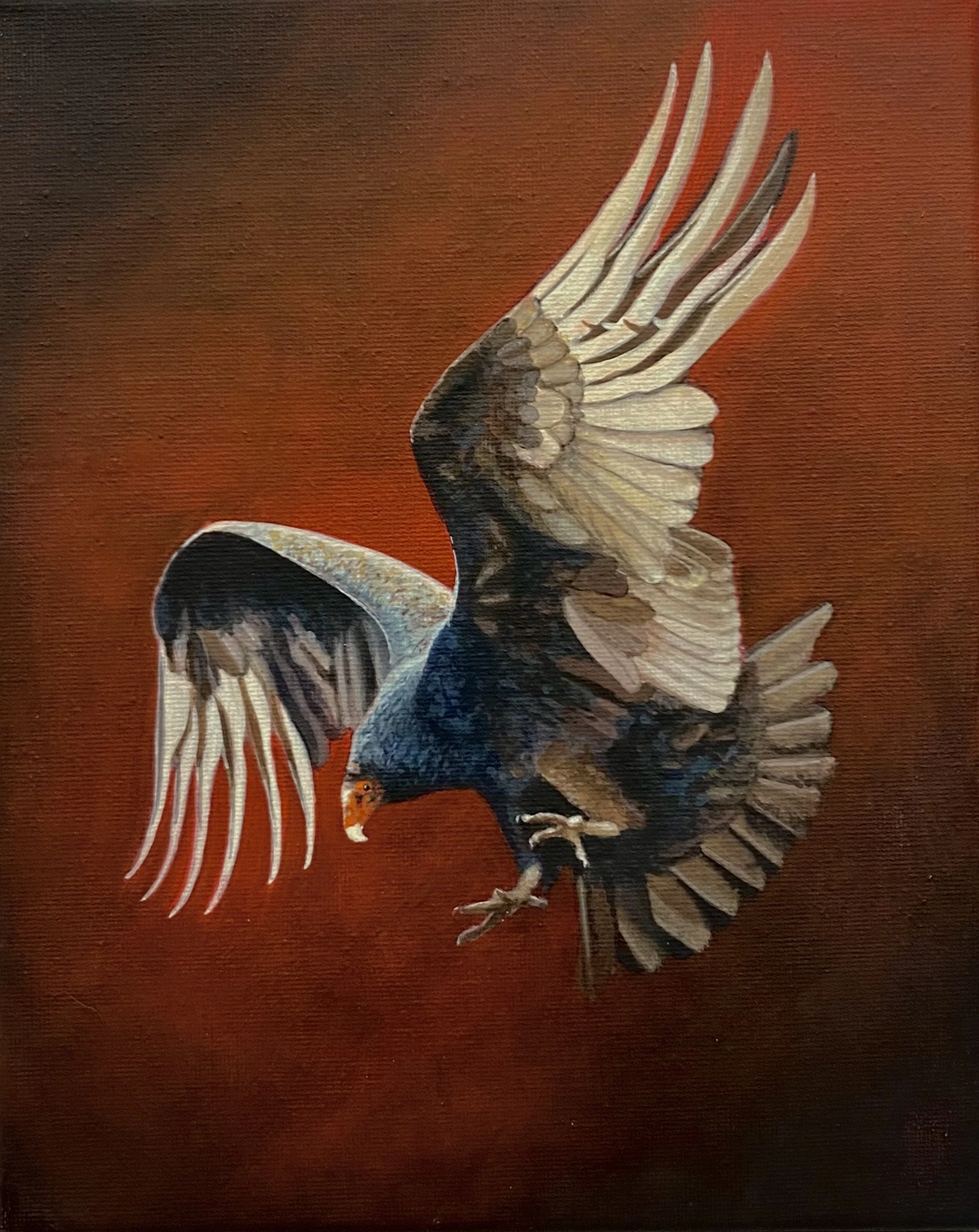 "Coming in Hot" - 2025 Acrylic on Canvas