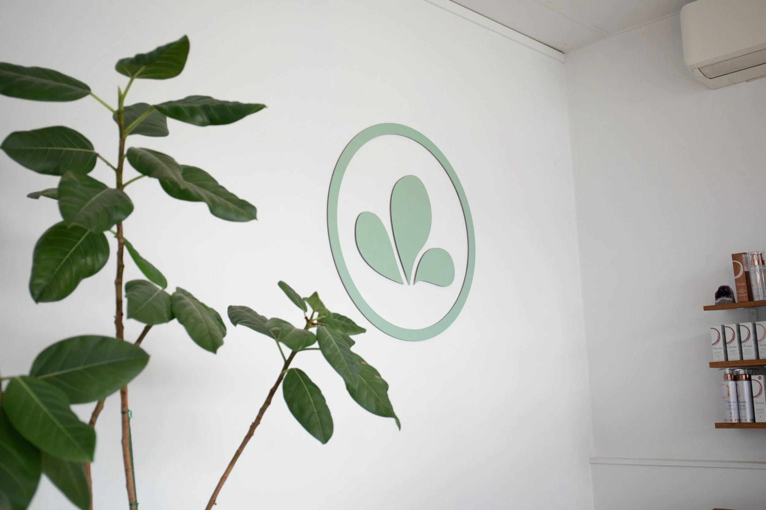 Indoor space with a green logo on the wall, a tall leafy plant in the foreground, and a shelf with products on the right.