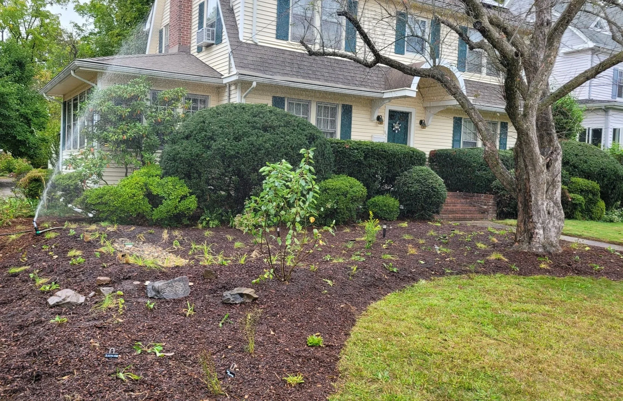 Directly after planting