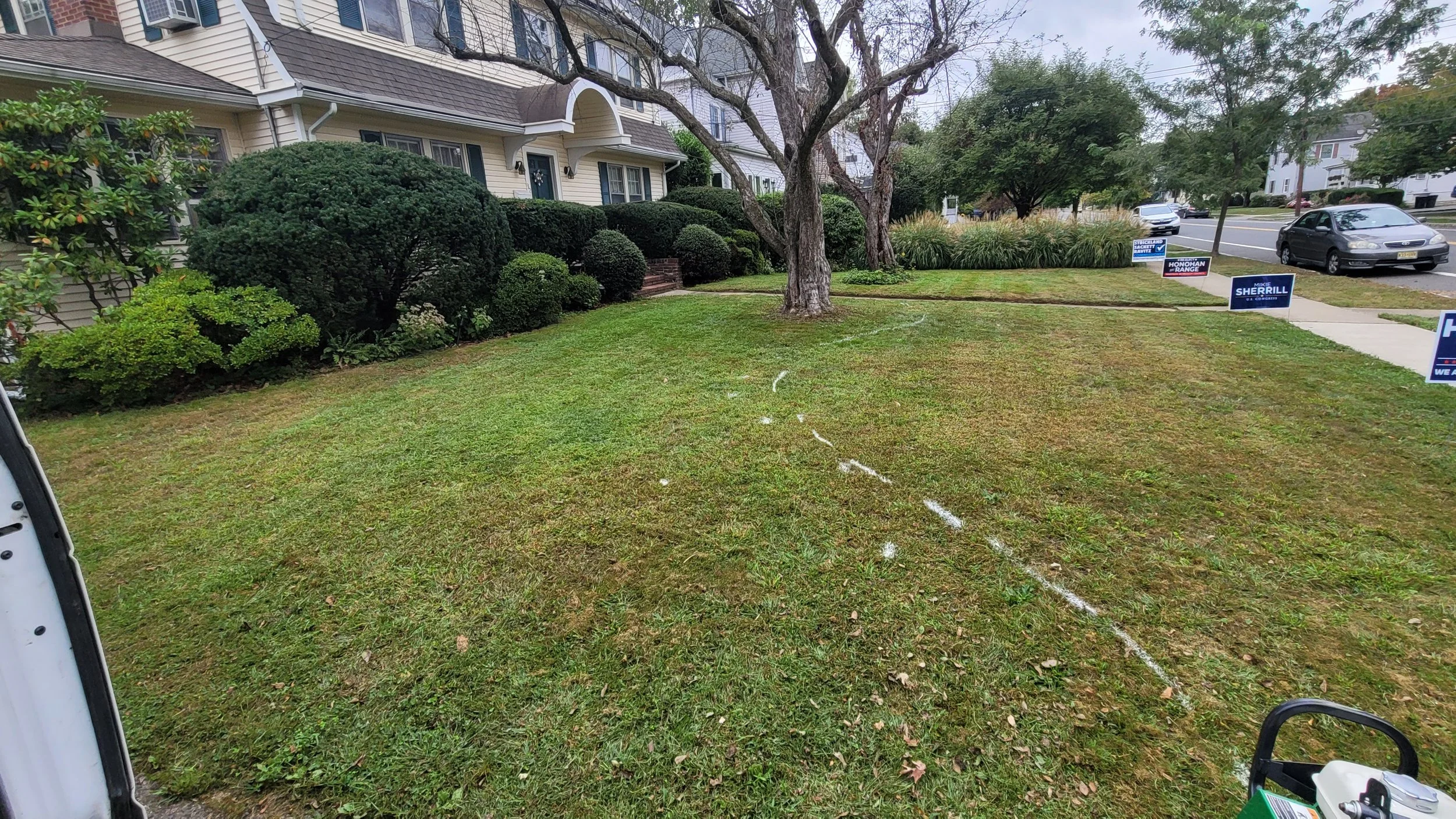Lawn Removal and Rain Garden Installation